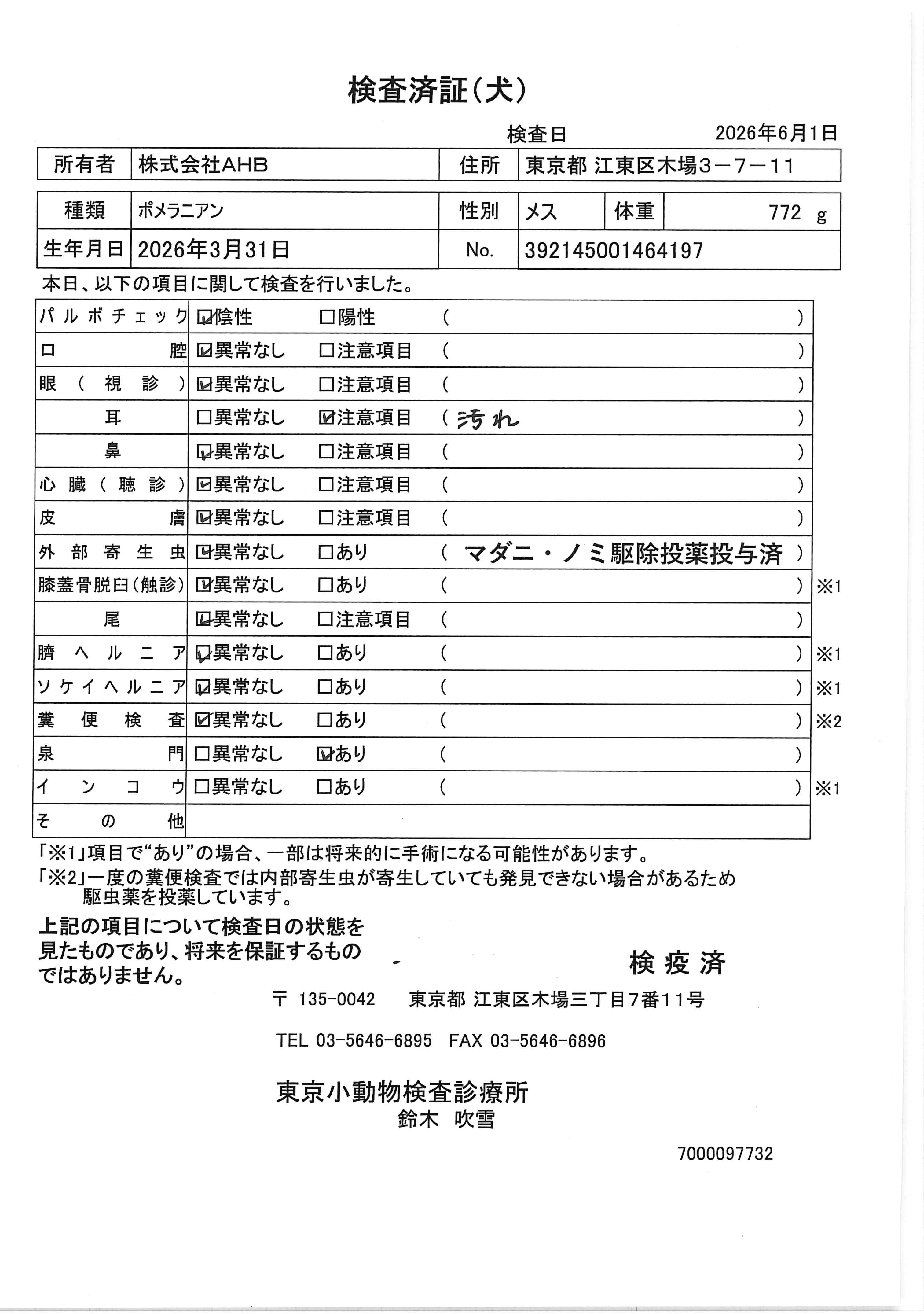 ポメラニアン