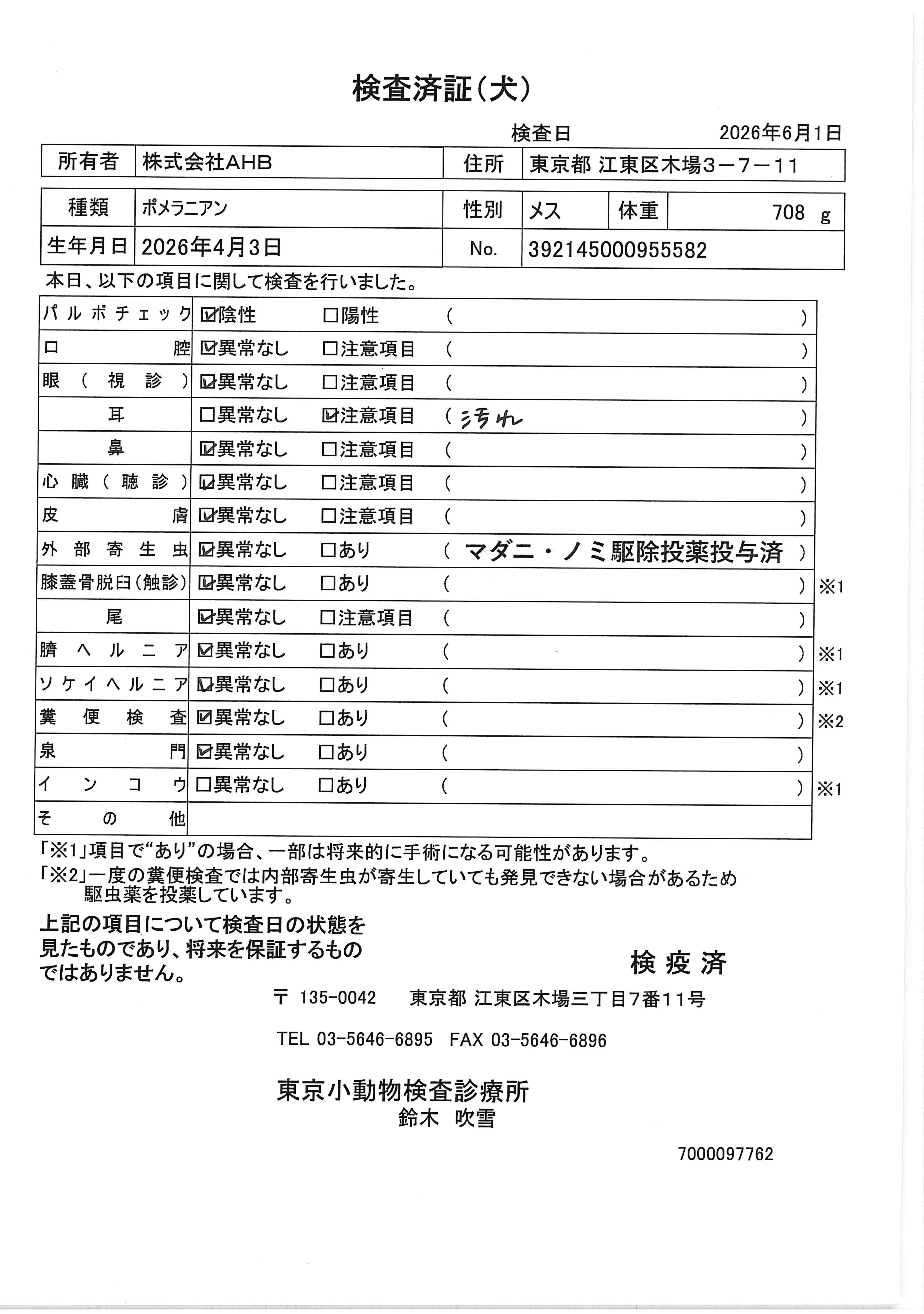 ポメラニアン