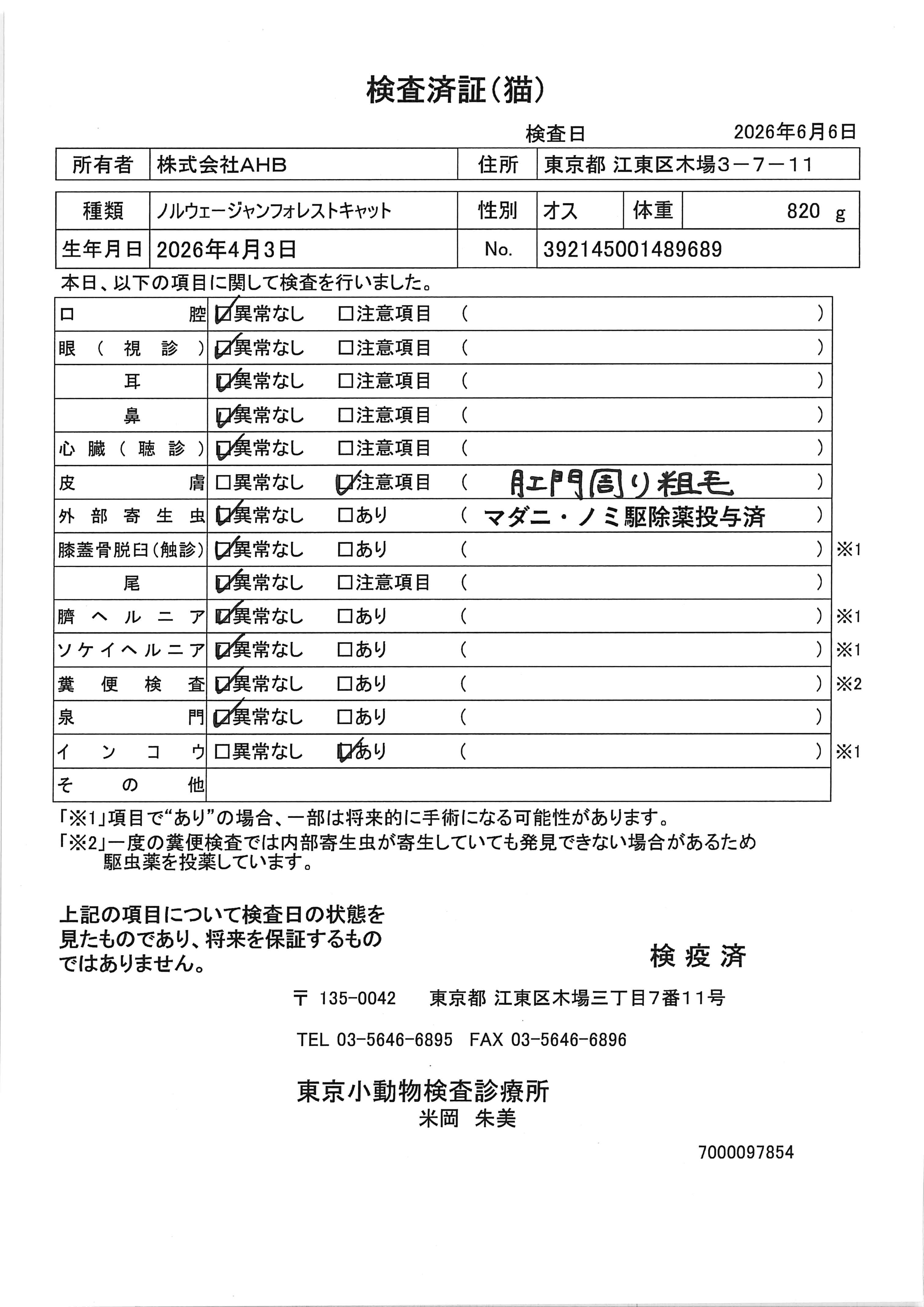 ノルウェージャンフォレストキャット