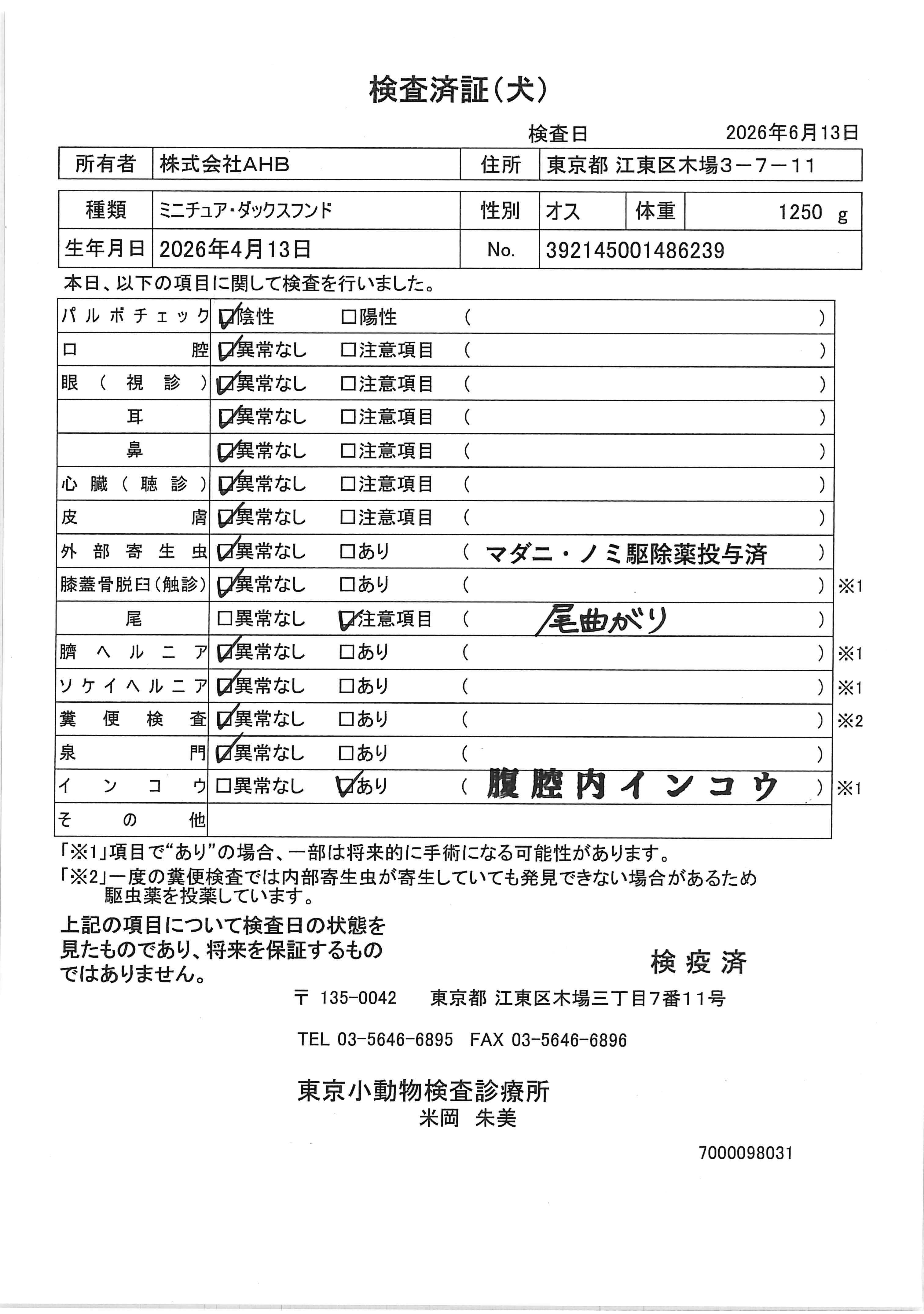 ミニチュア・ダックスフンド