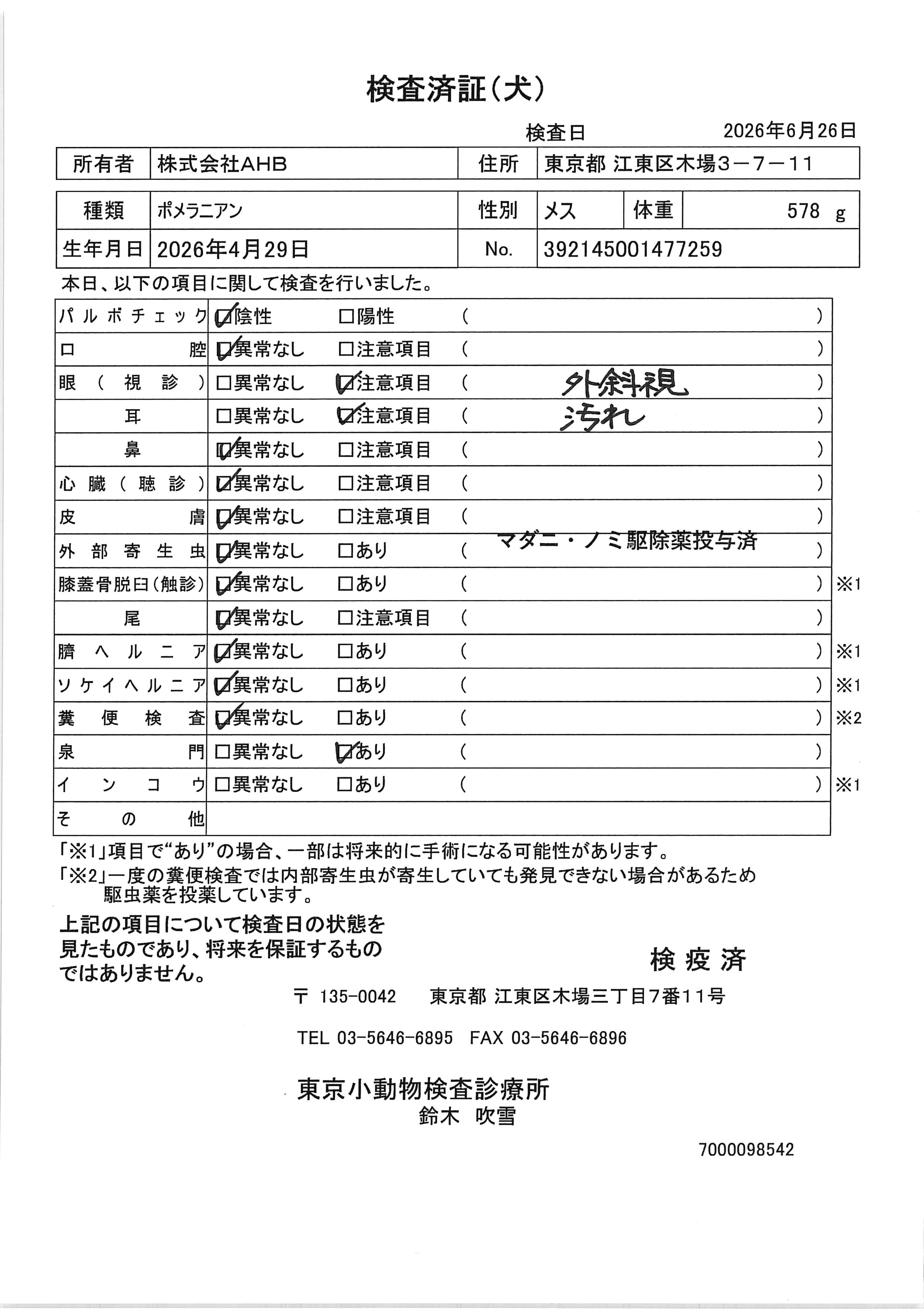 ポメラニアン