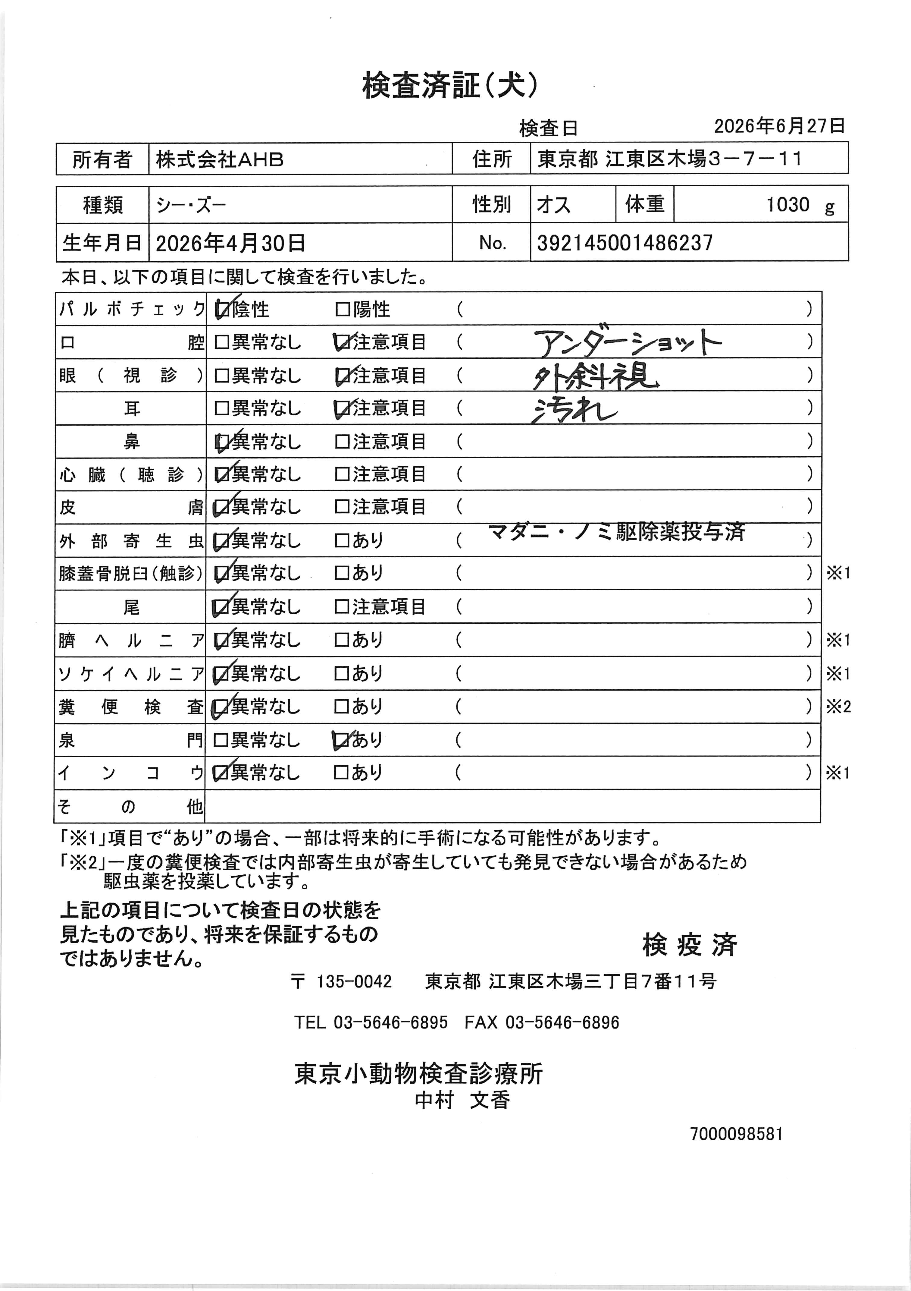 シー・ズー