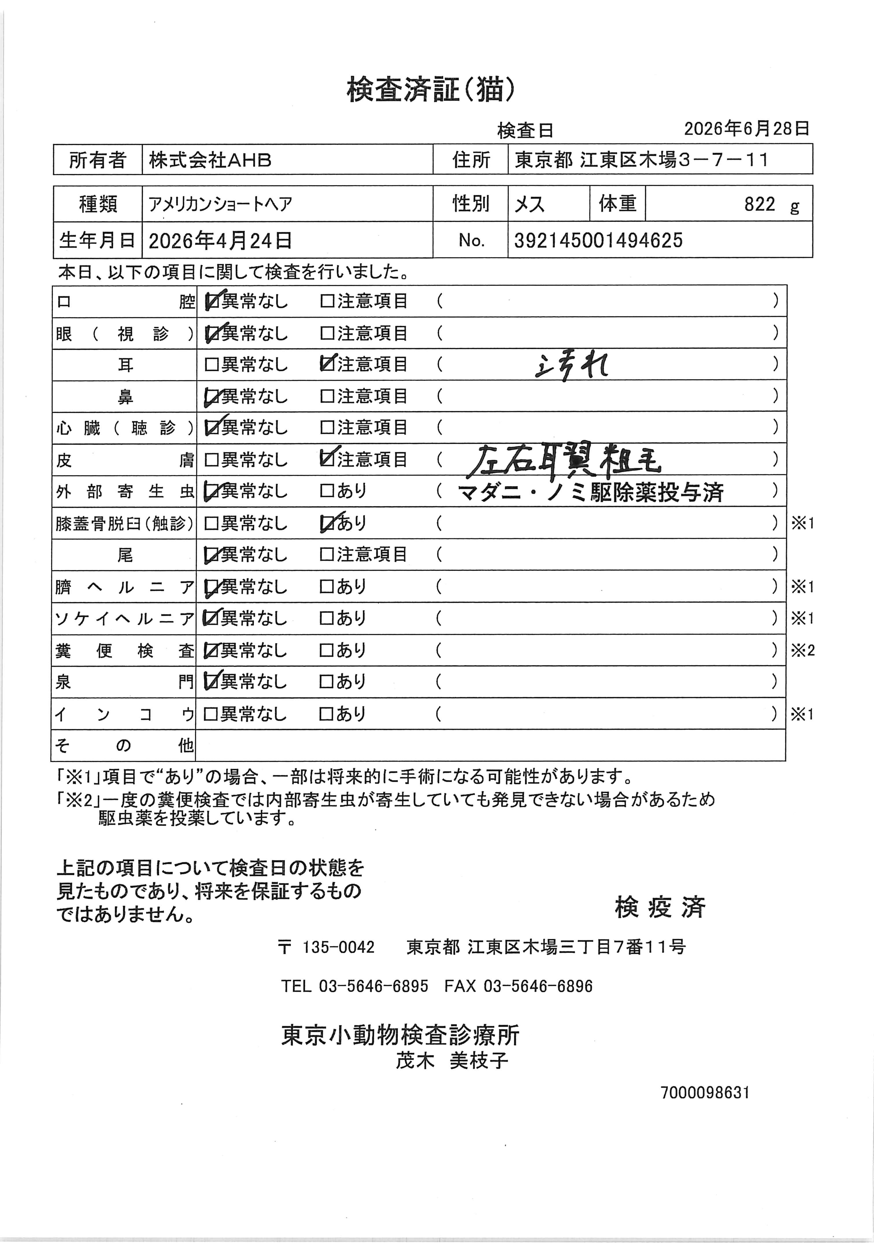 アメリカンショートヘア