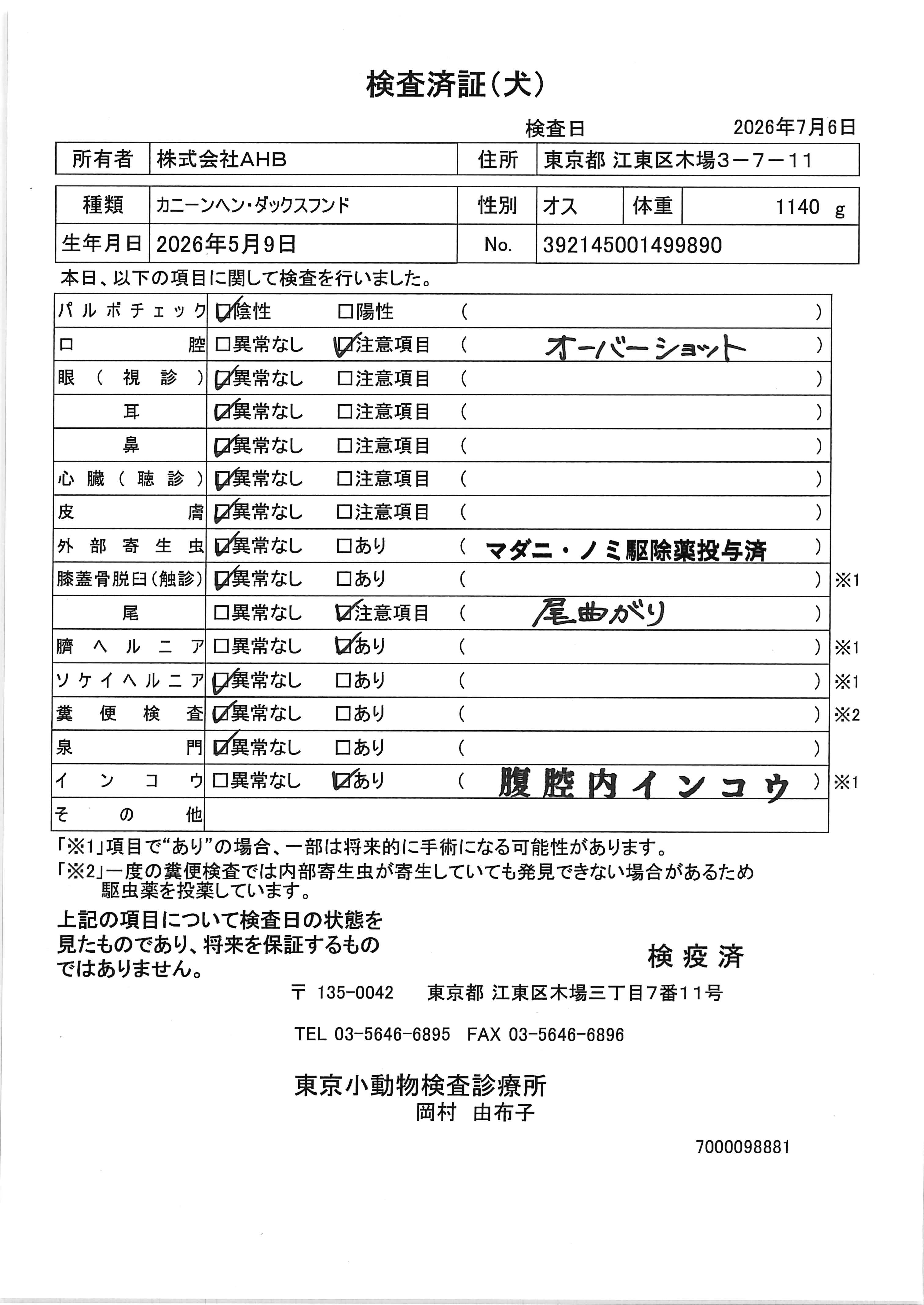 カニーンヘン・ダックスフンド