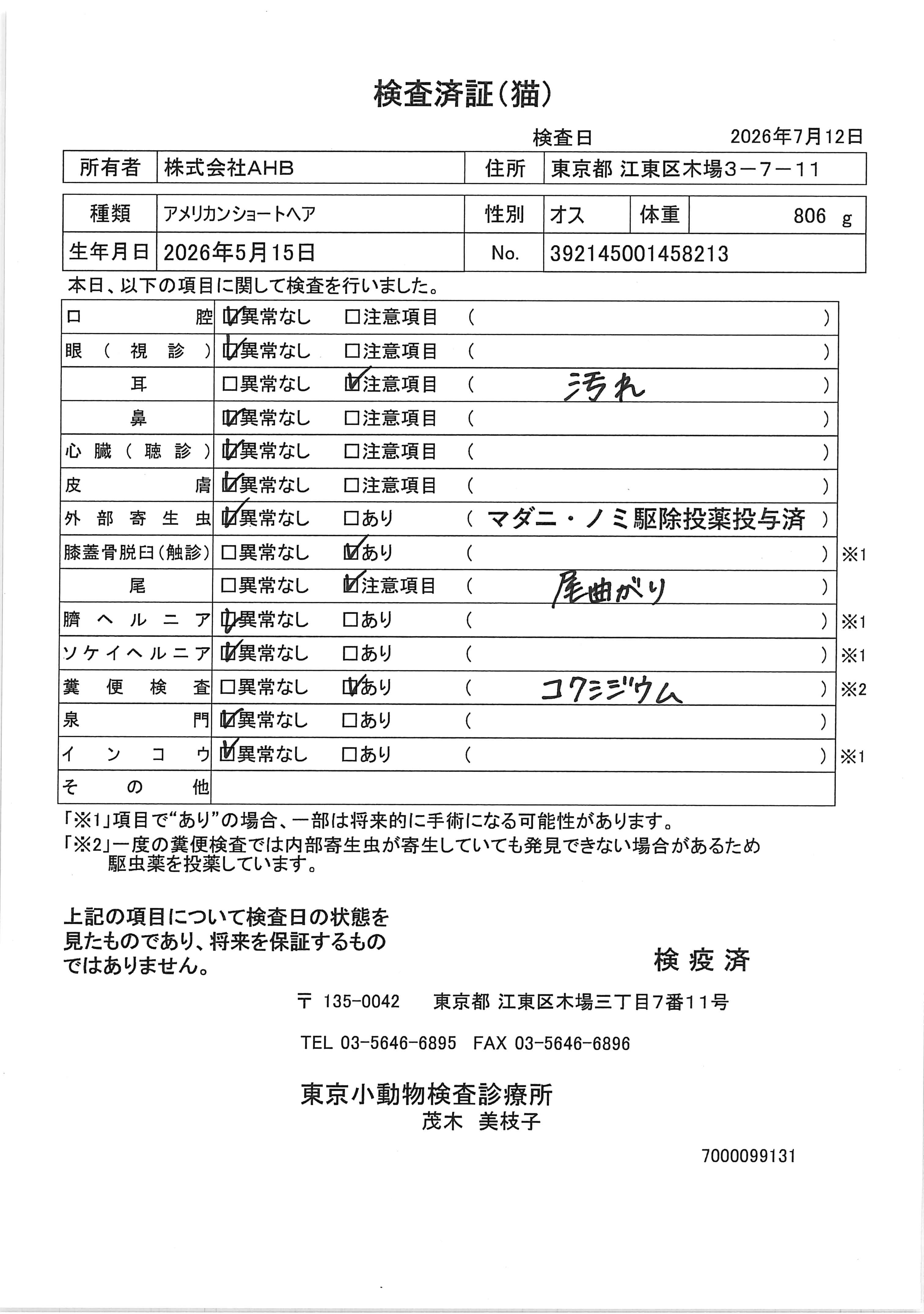 アメリカンショートヘア