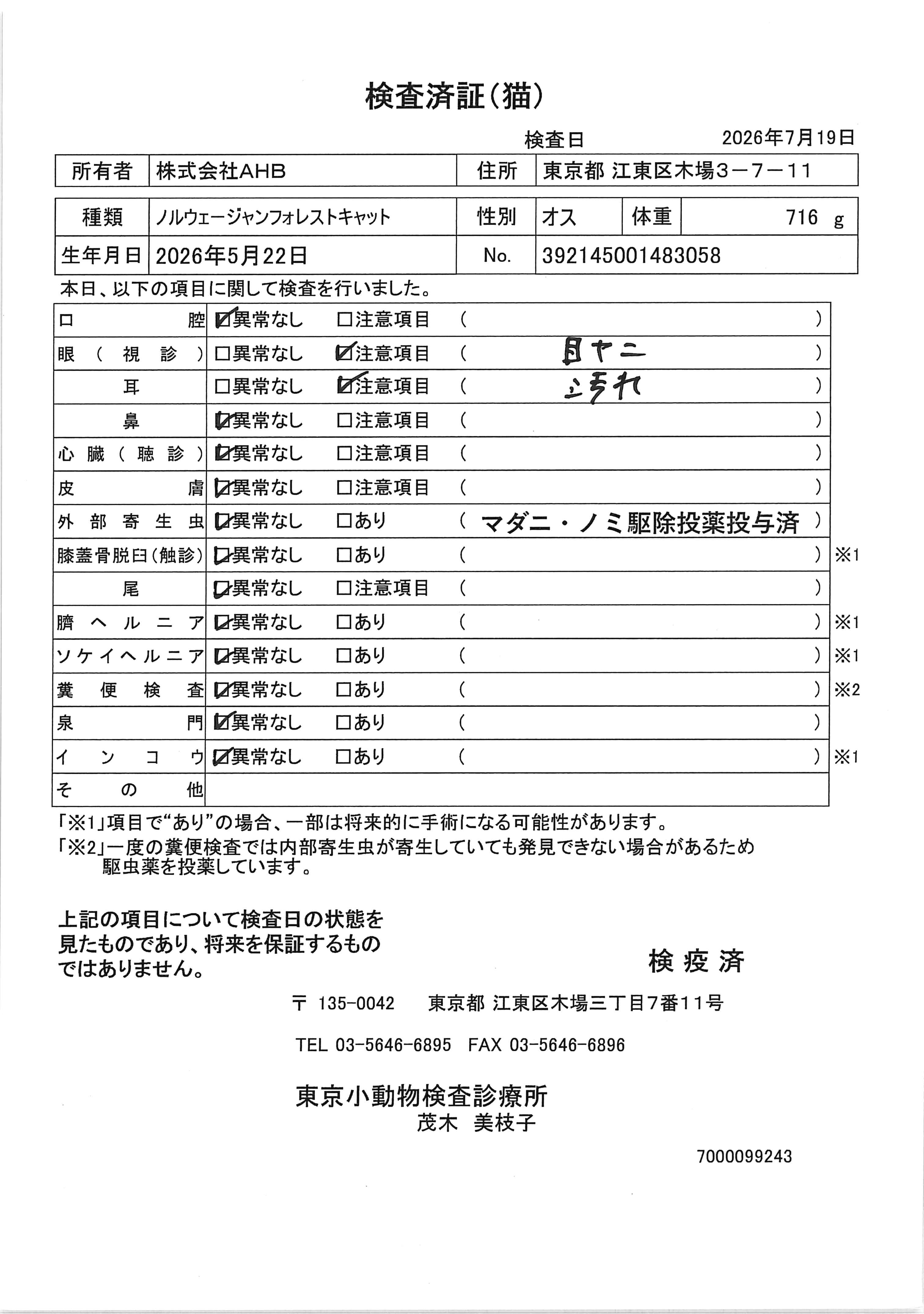 ノルウェージャンフォレストキャット