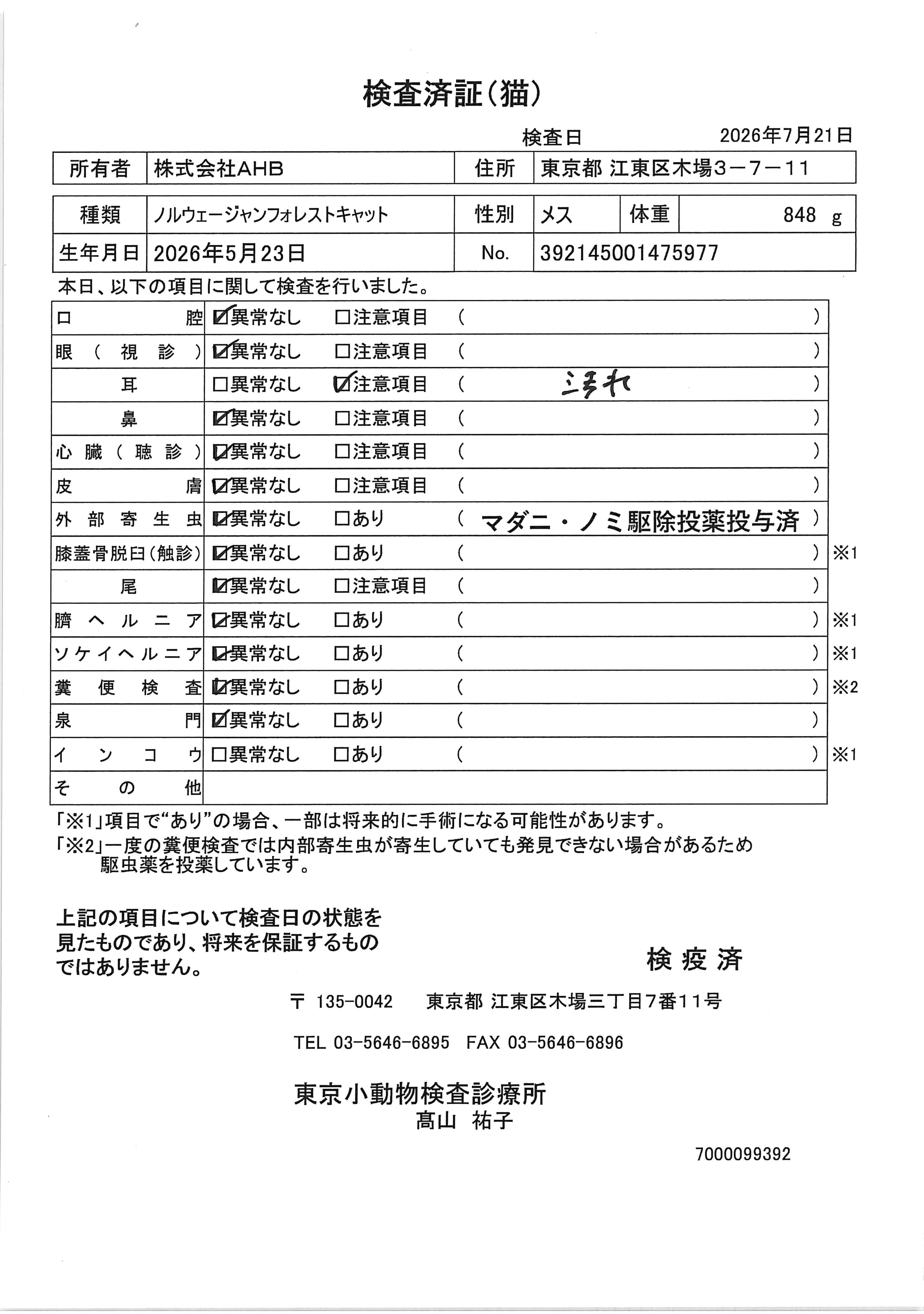 ノルウェージャンフォレストキャット