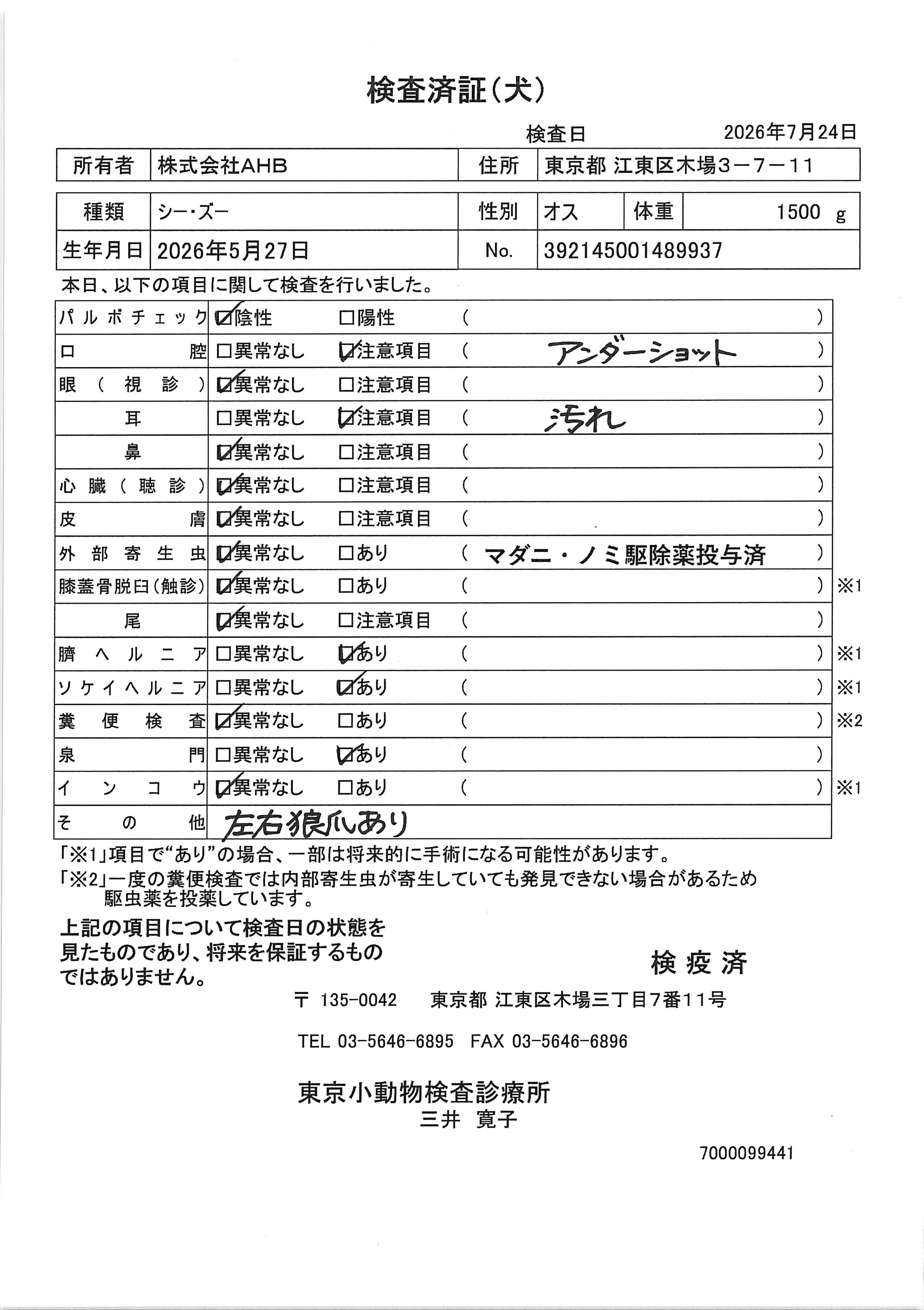 シー・ズー