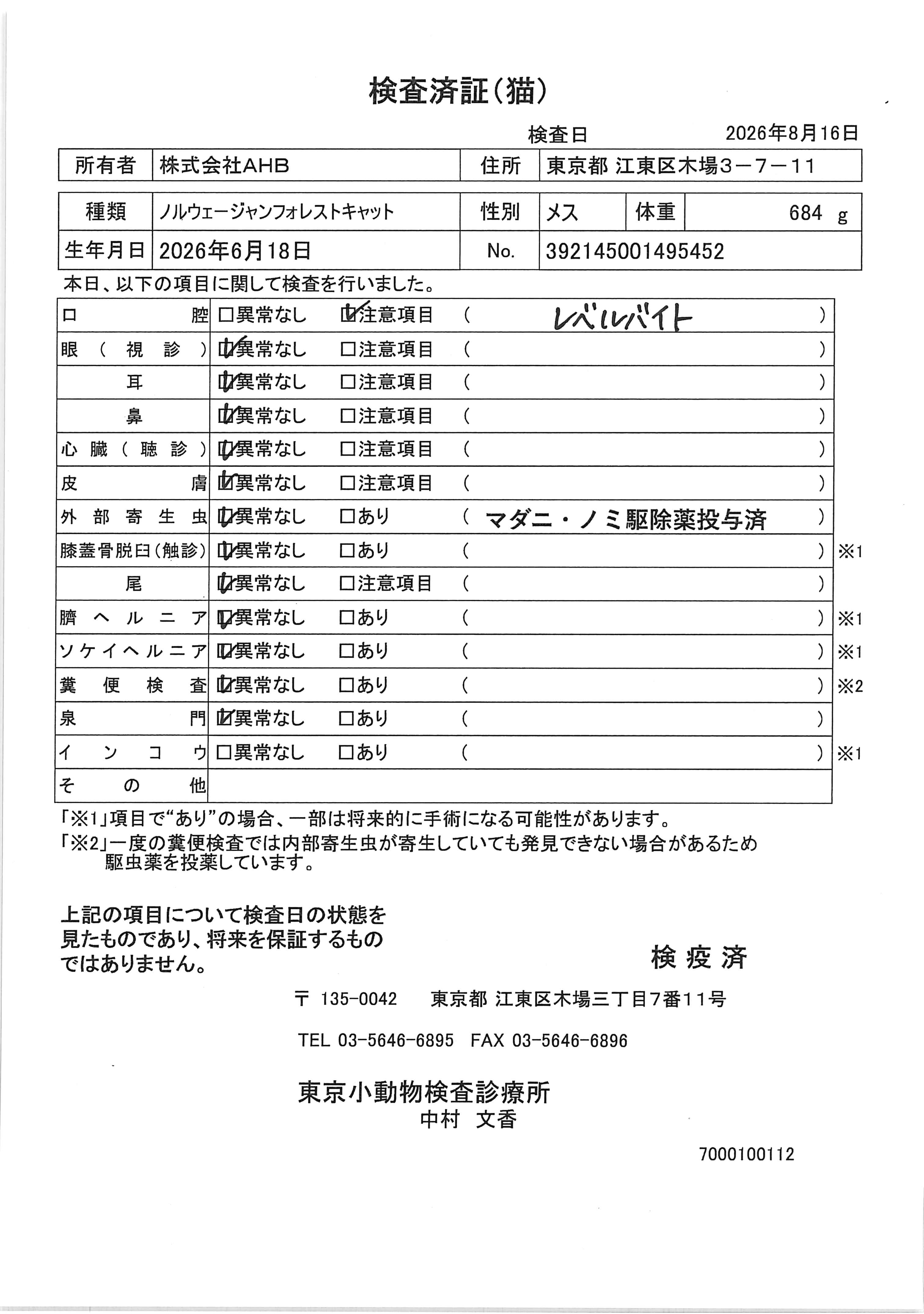 ノルウェージャンフォレストキャット