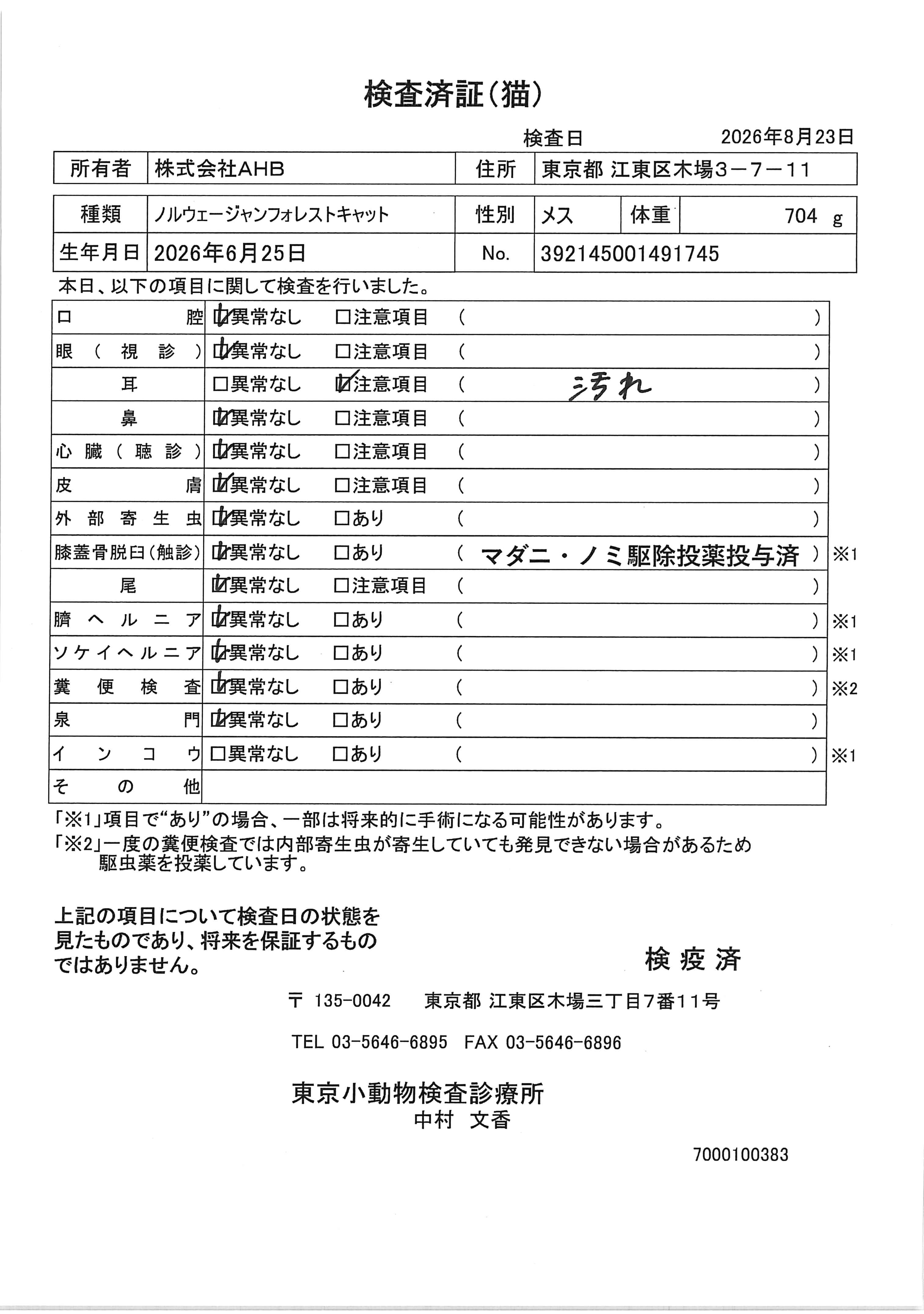 ノルウェージャンフォレストキャット