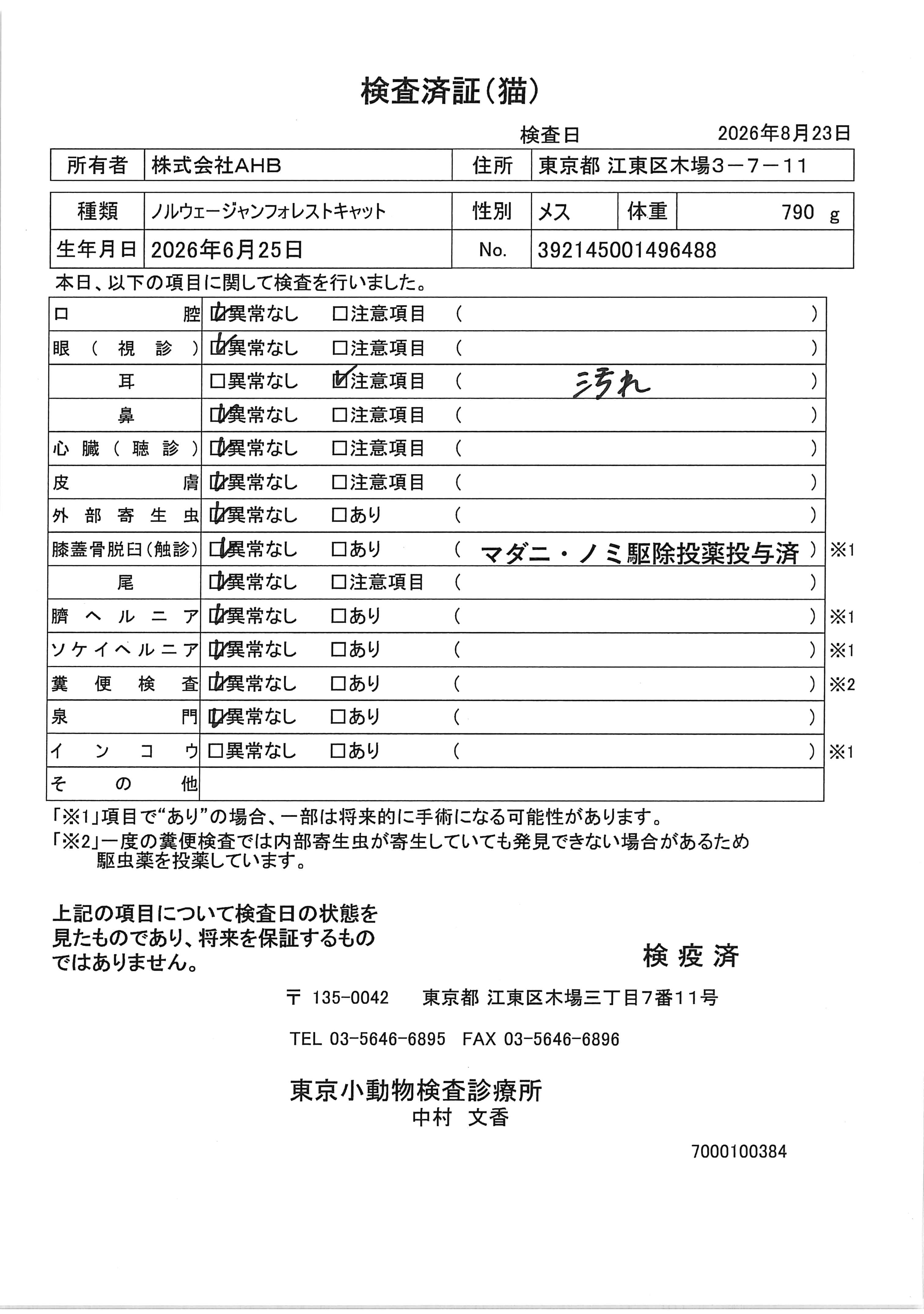 ノルウェージャンフォレストキャット