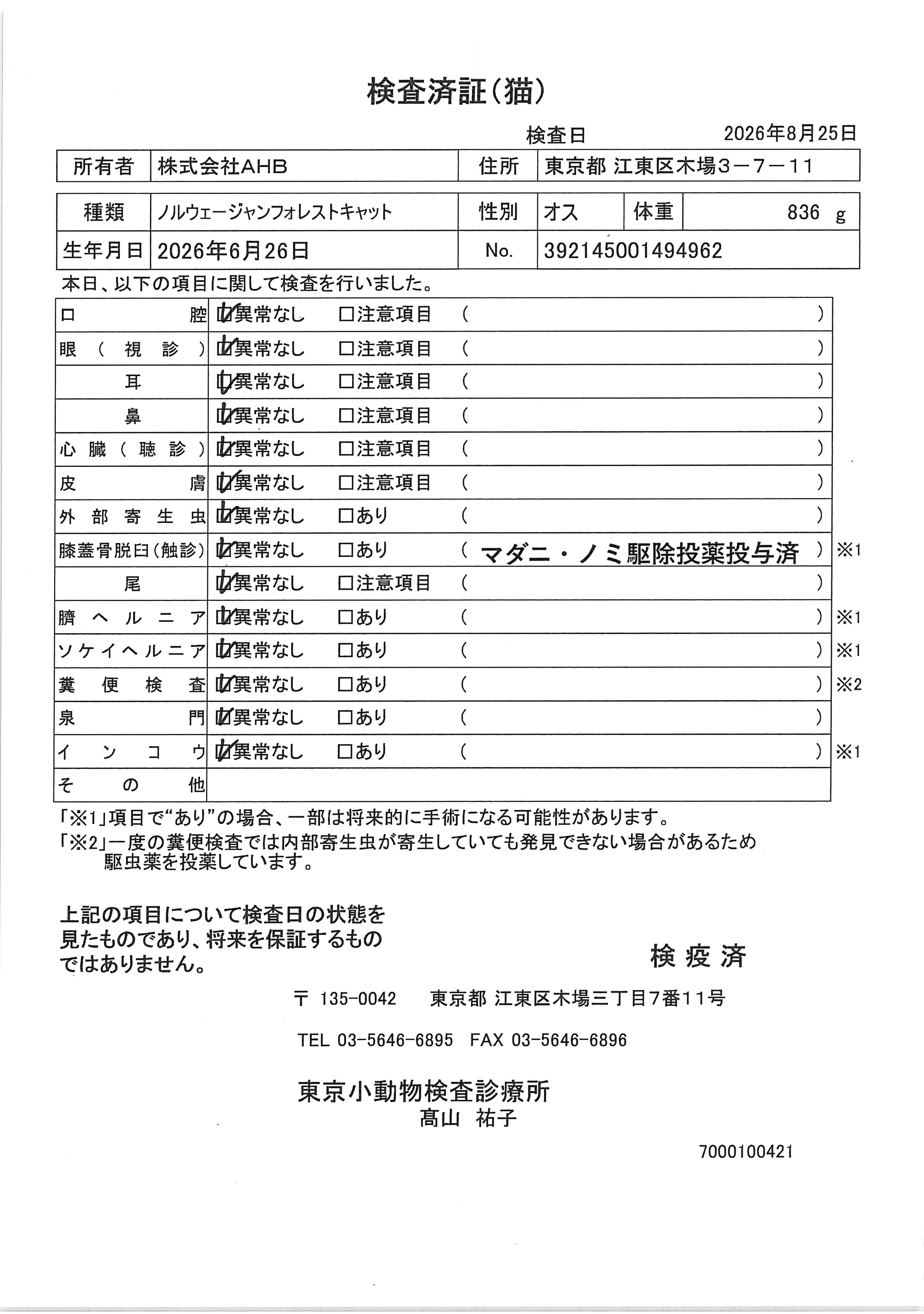 ノルウェージャンフォレストキャット