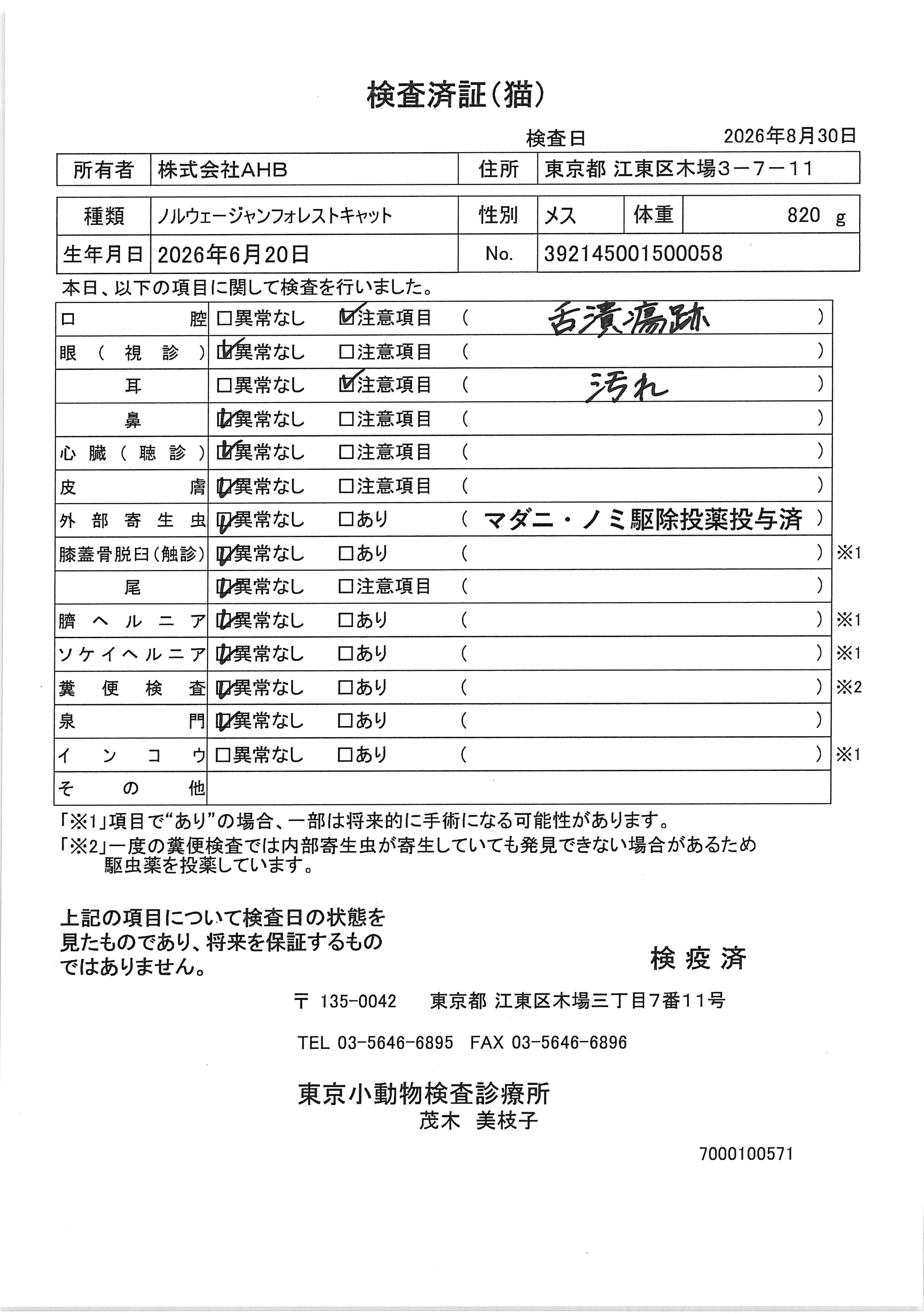 ノルウェージャンフォレストキャット