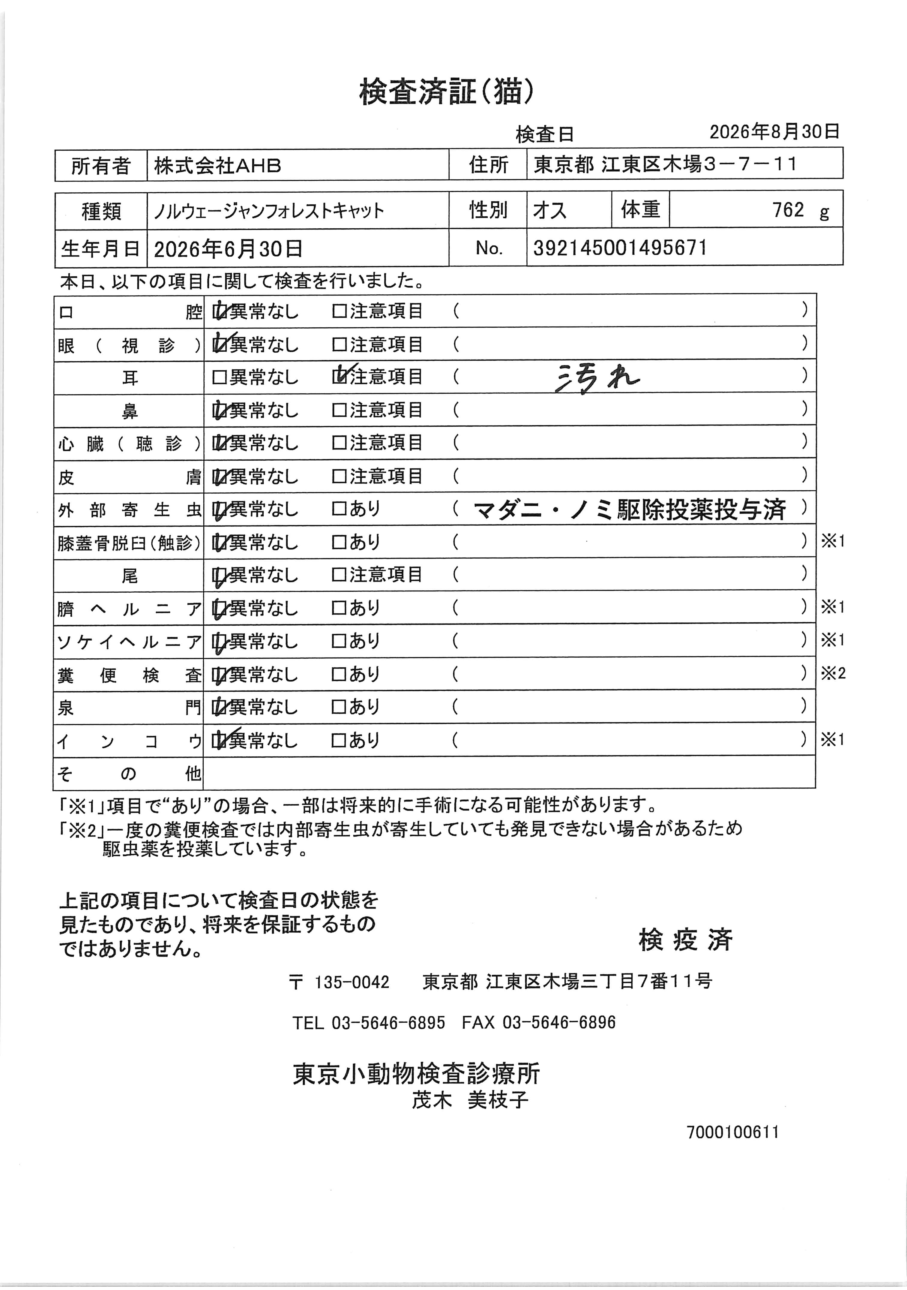 ノルウェージャンフォレストキャット