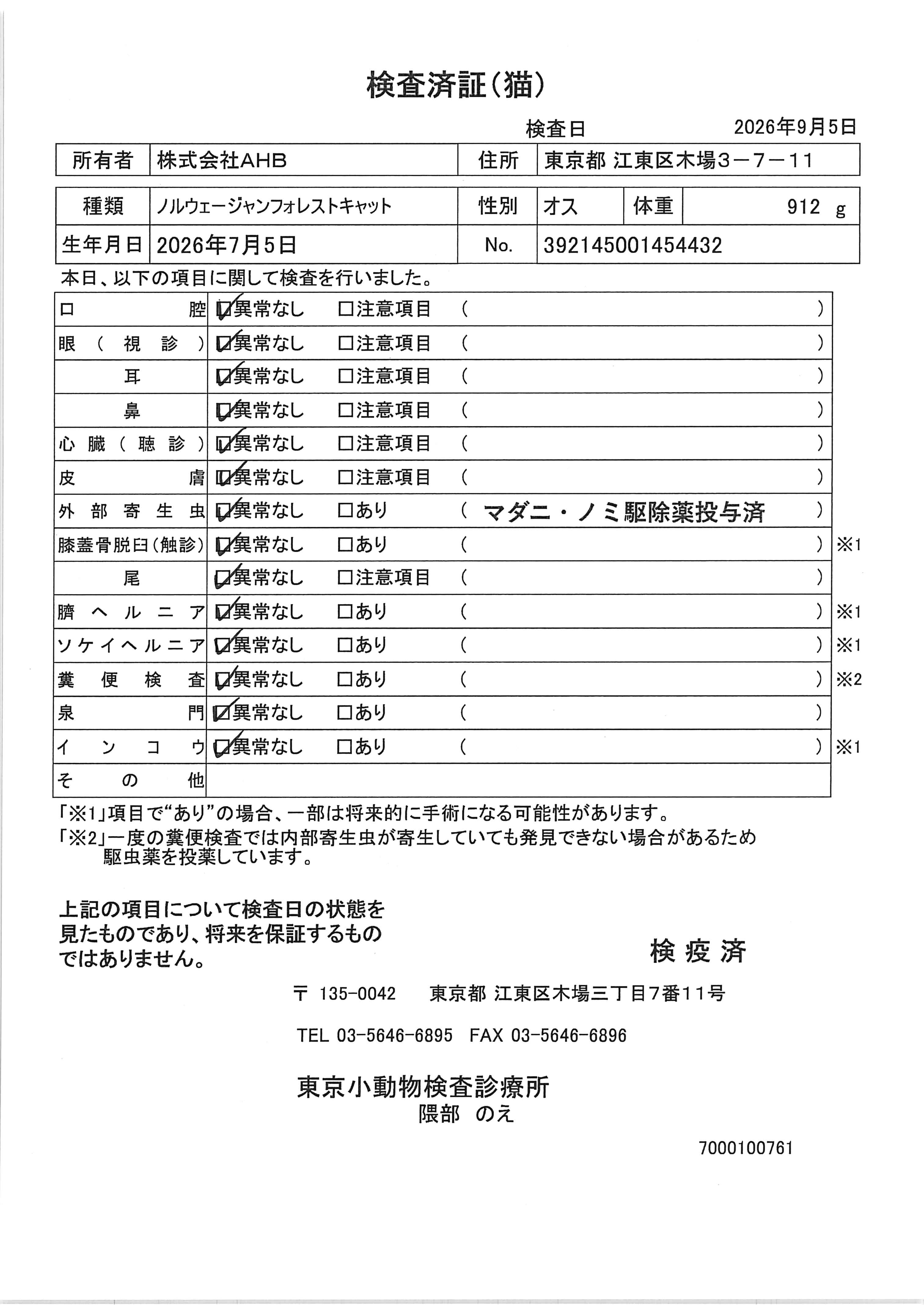 ノルウェージャンフォレストキャット