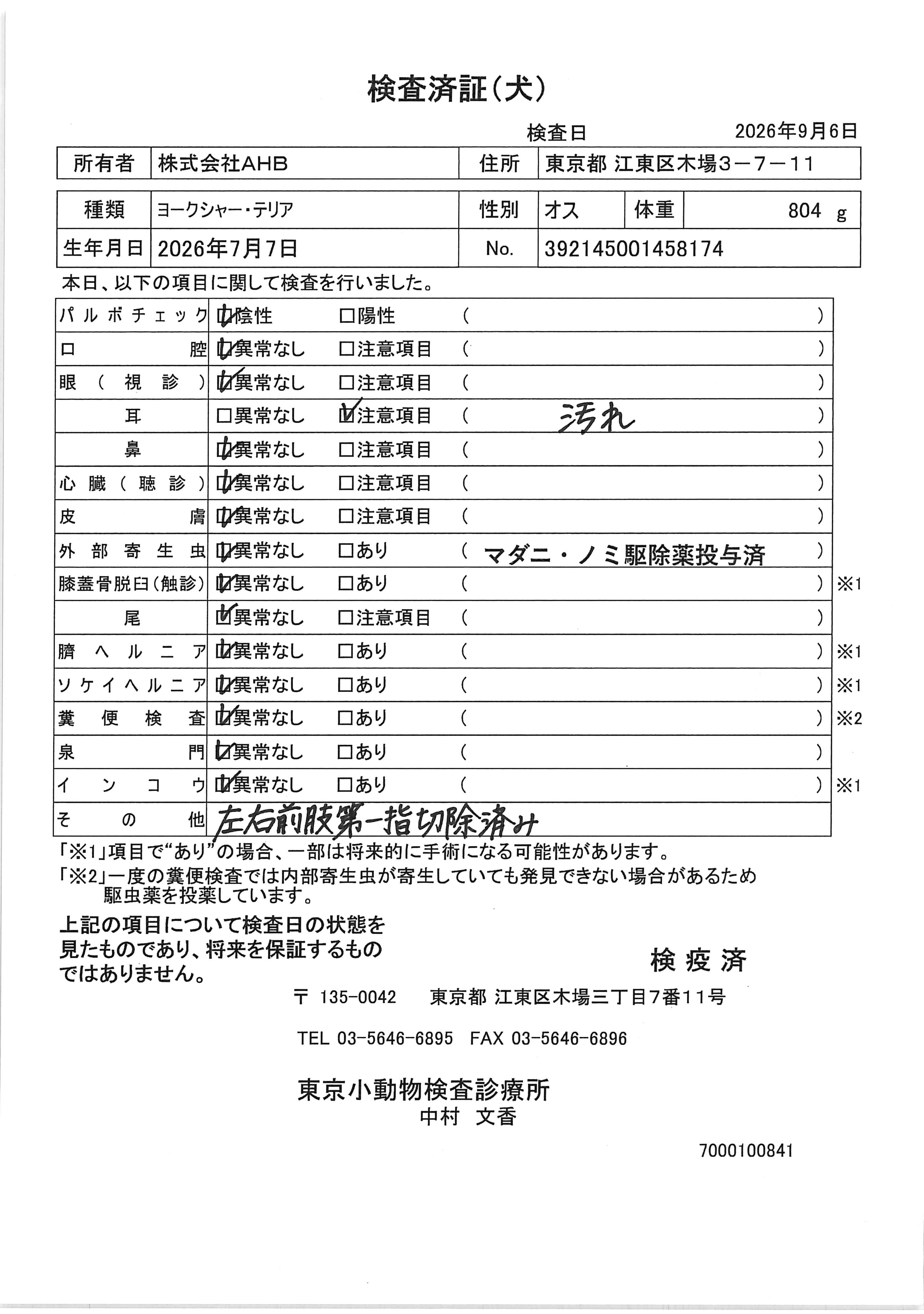 ヨークシャー・テリア