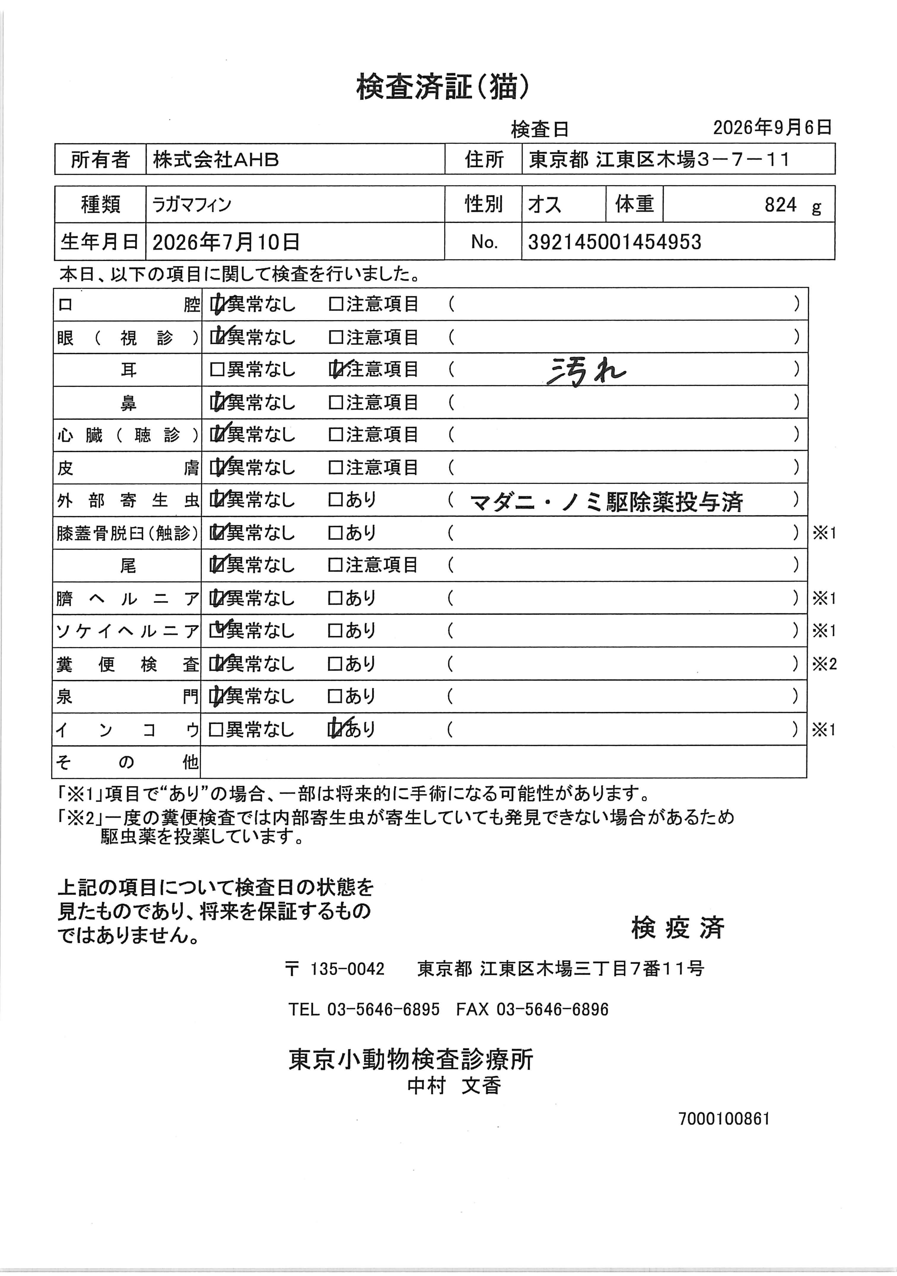ラガマフィン