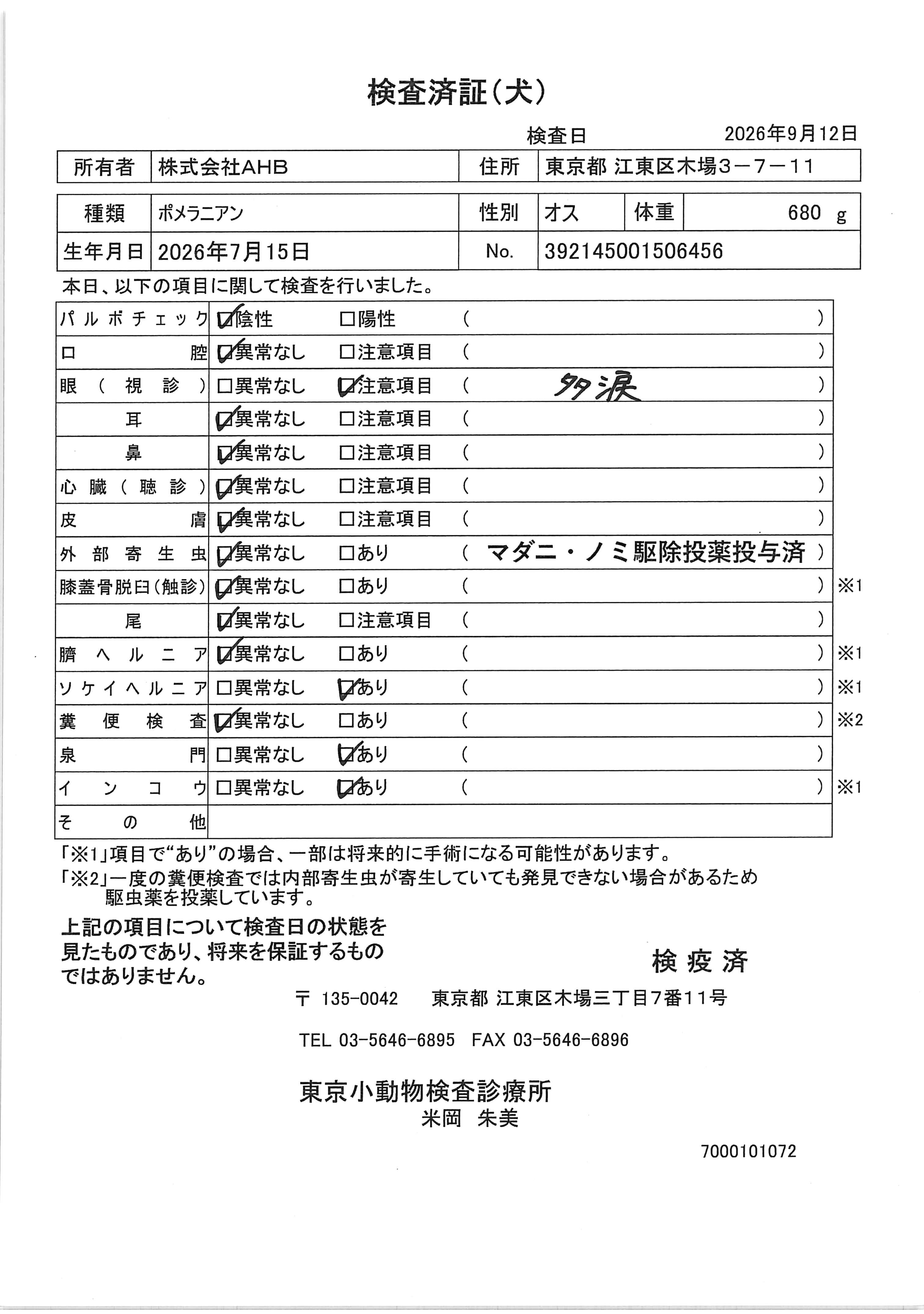 ポメラニアン