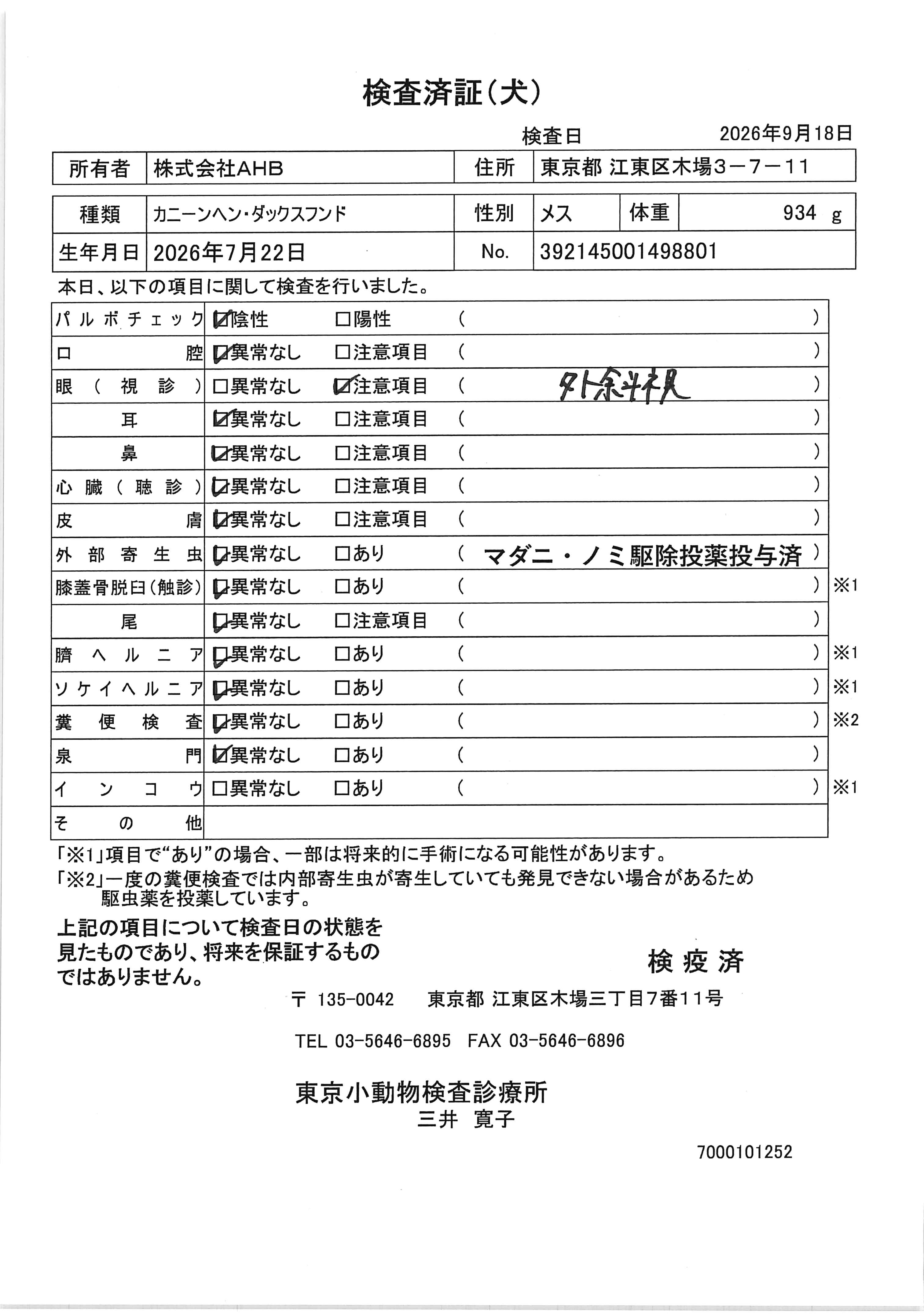 カニーンヘン・ダックスフンド