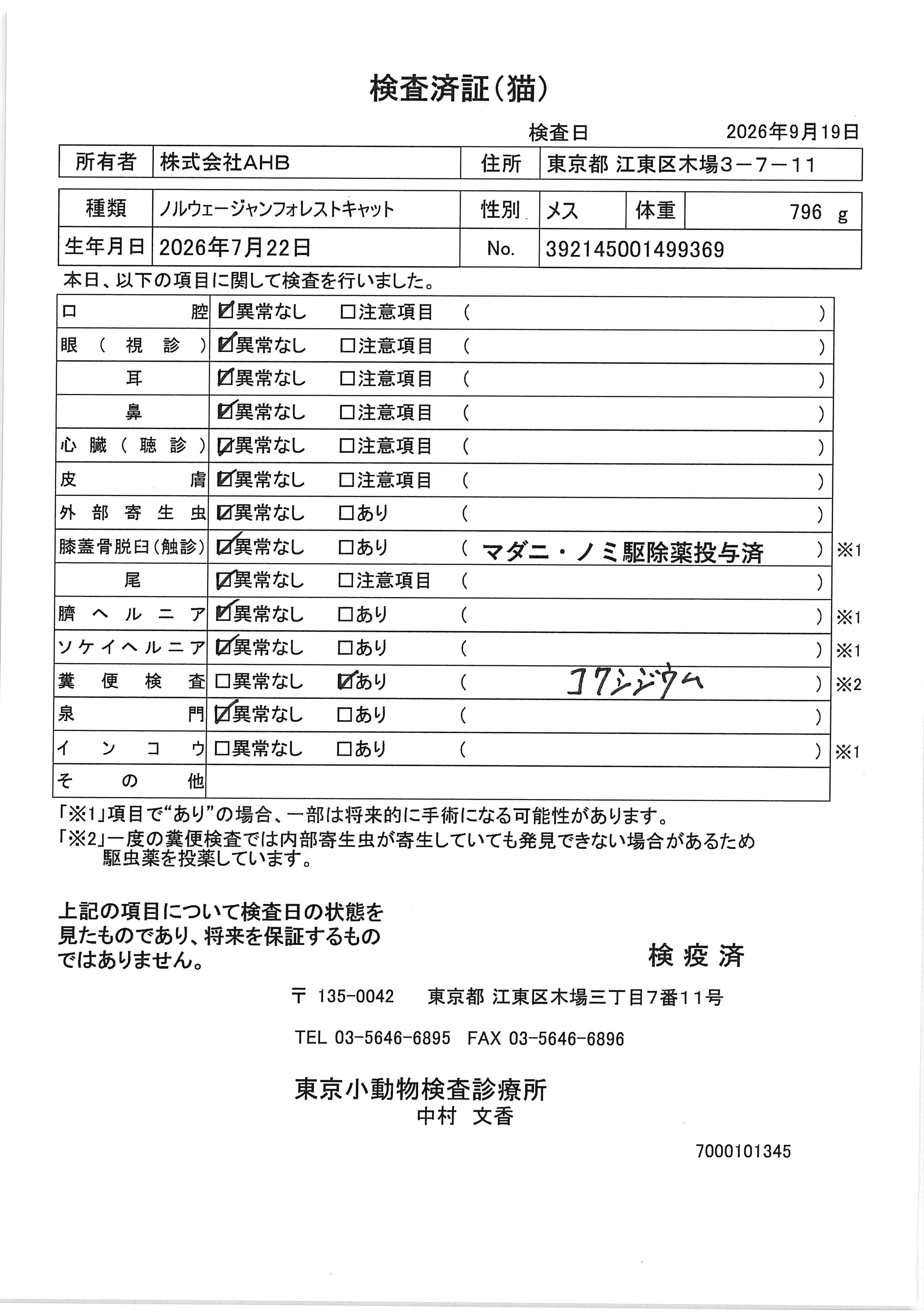 ノルウェージャンフォレストキャット