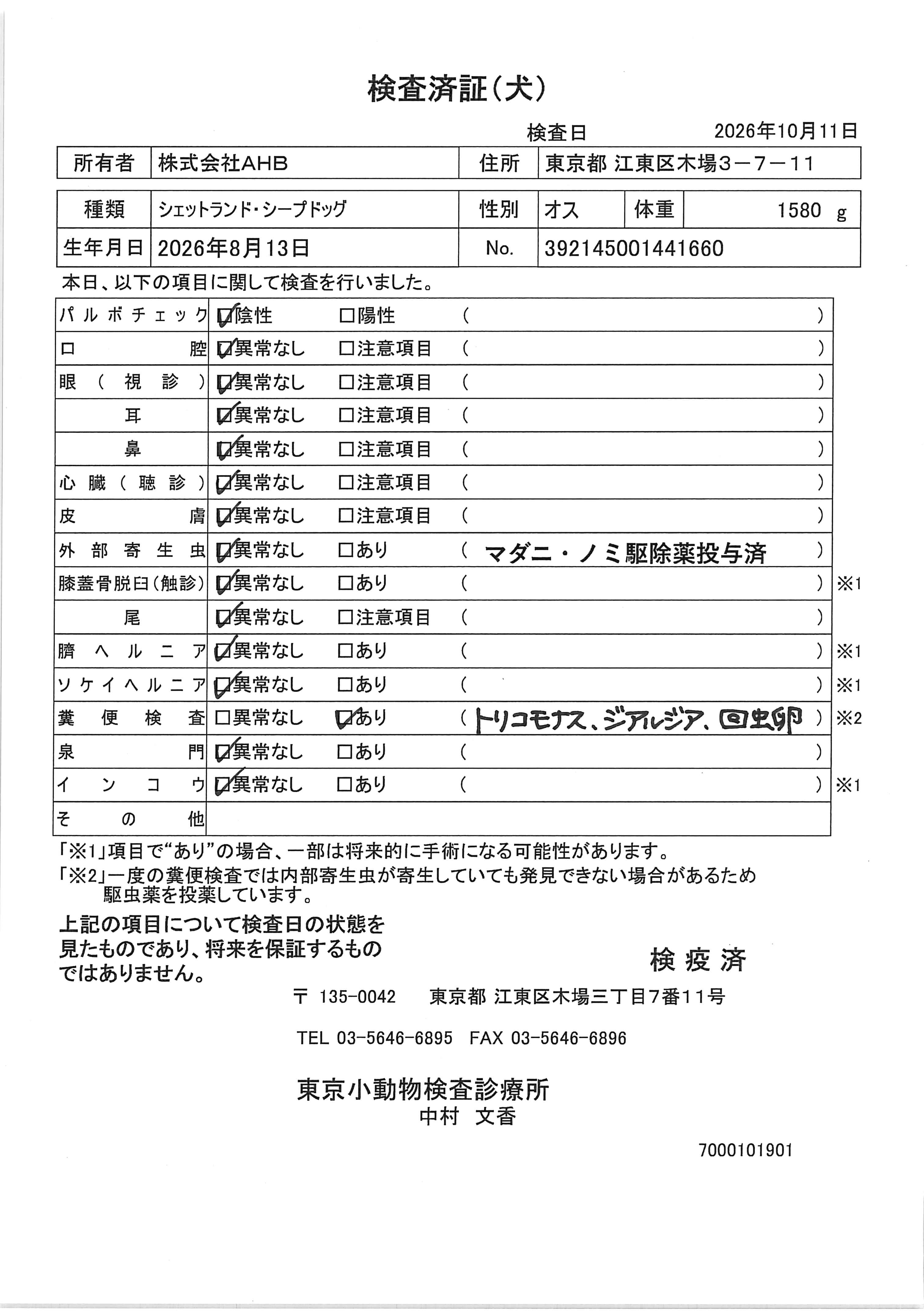 シェットランド・シープドッグ