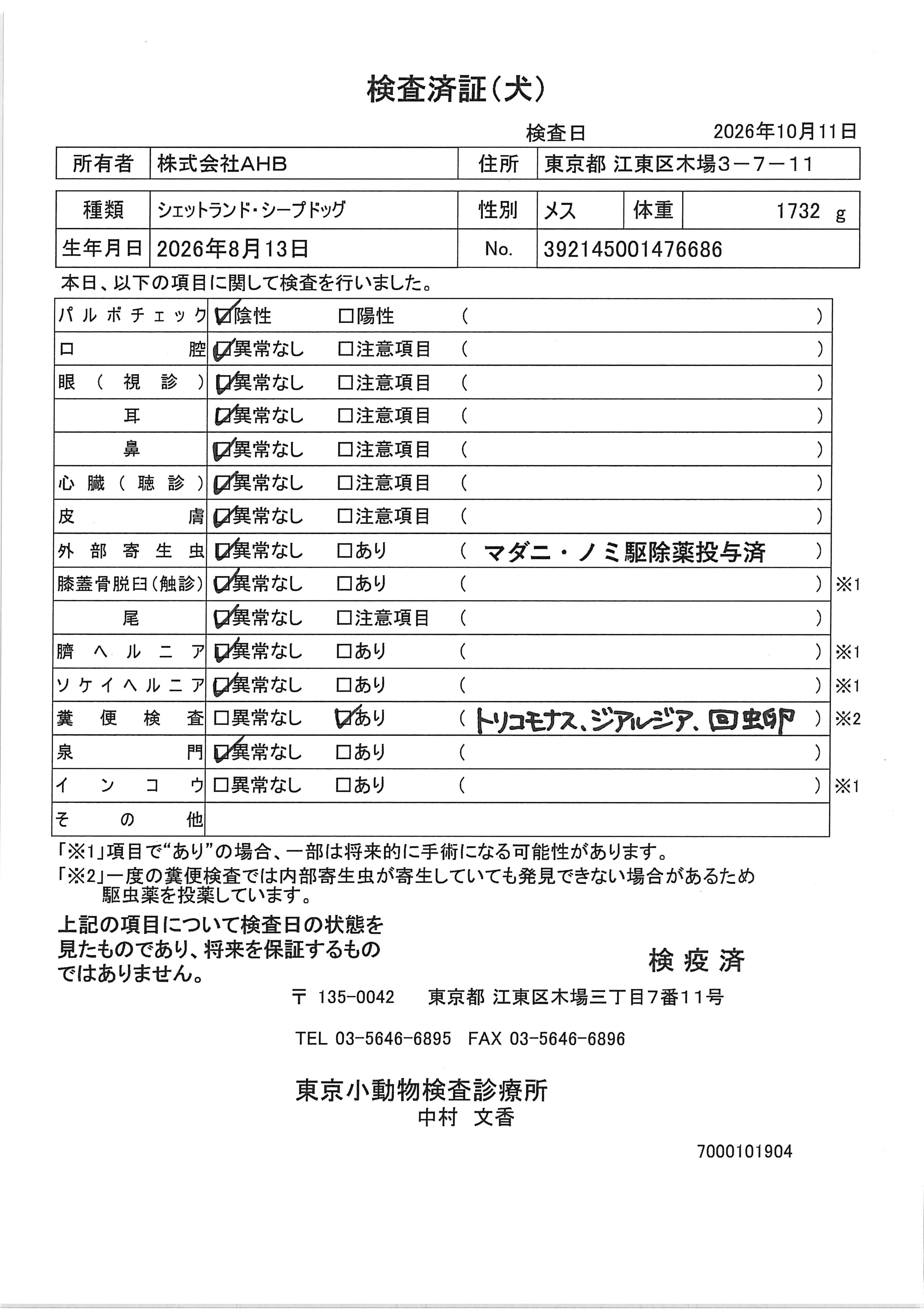 シェットランド・シープドッグ