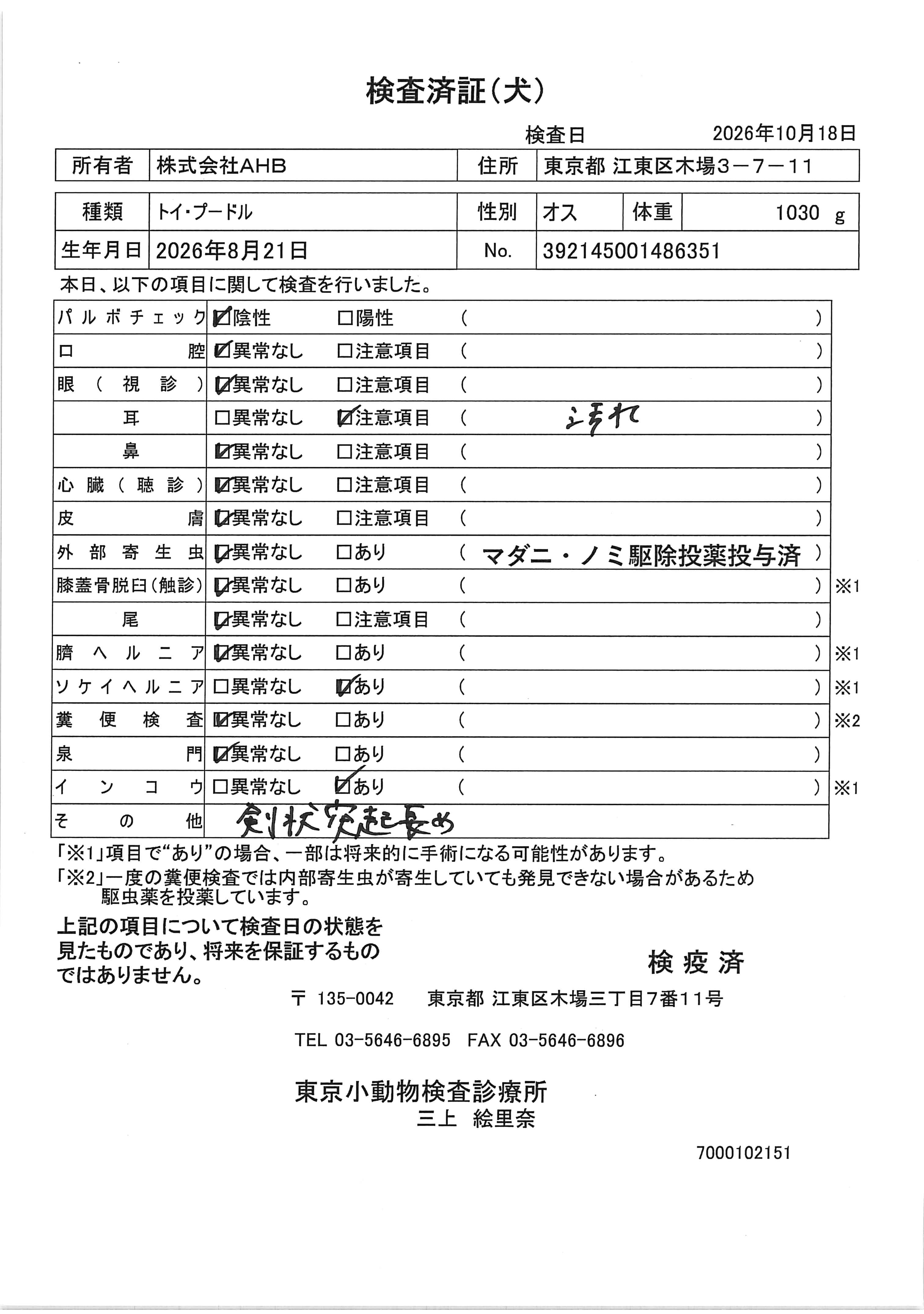 トイ・プードル