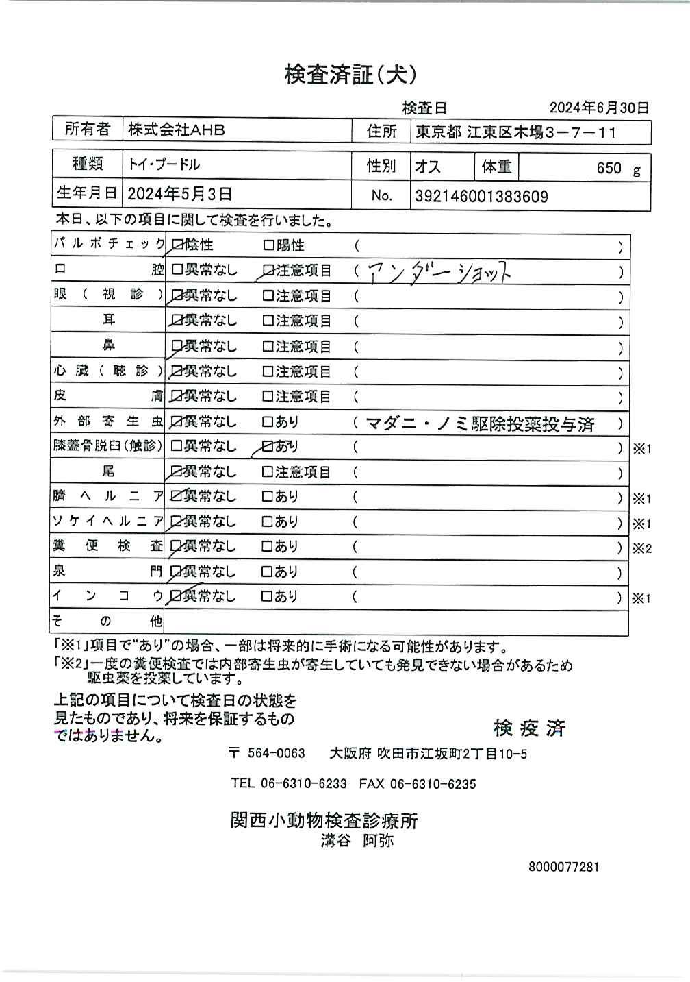 トイ・プードル