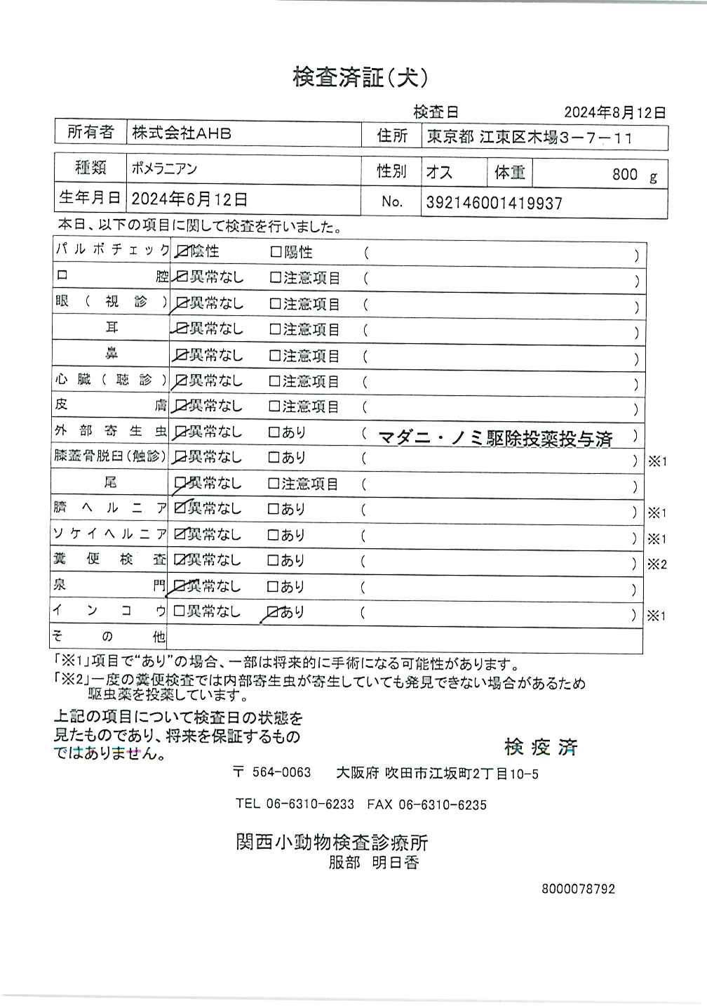 ポメラニアン