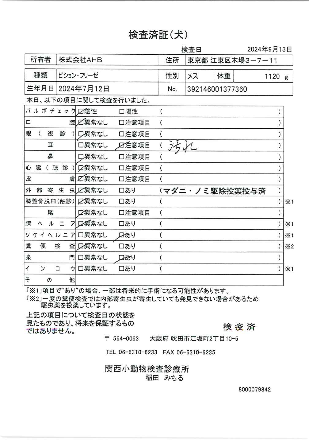 ビション・フリーゼ