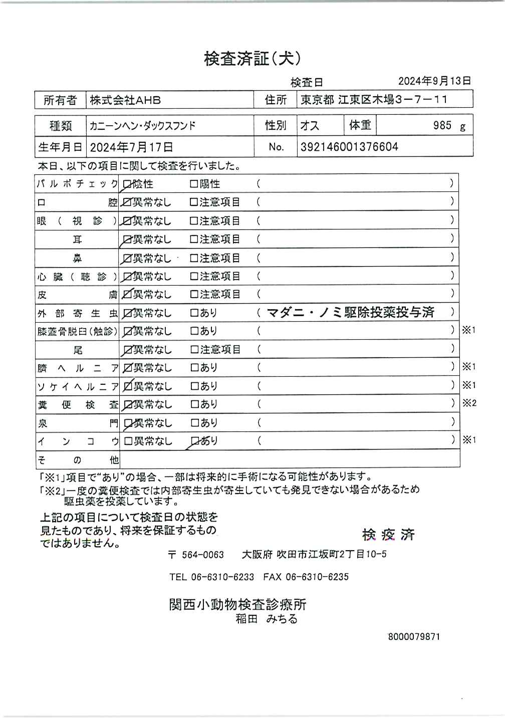 カニーンヘン・ダックスフンド