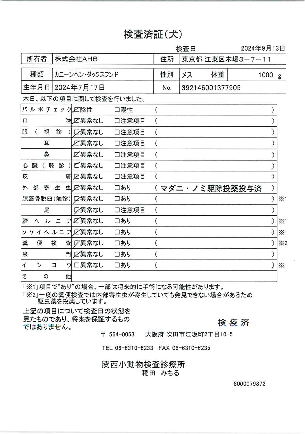 カニーンヘン・ダックスフンド