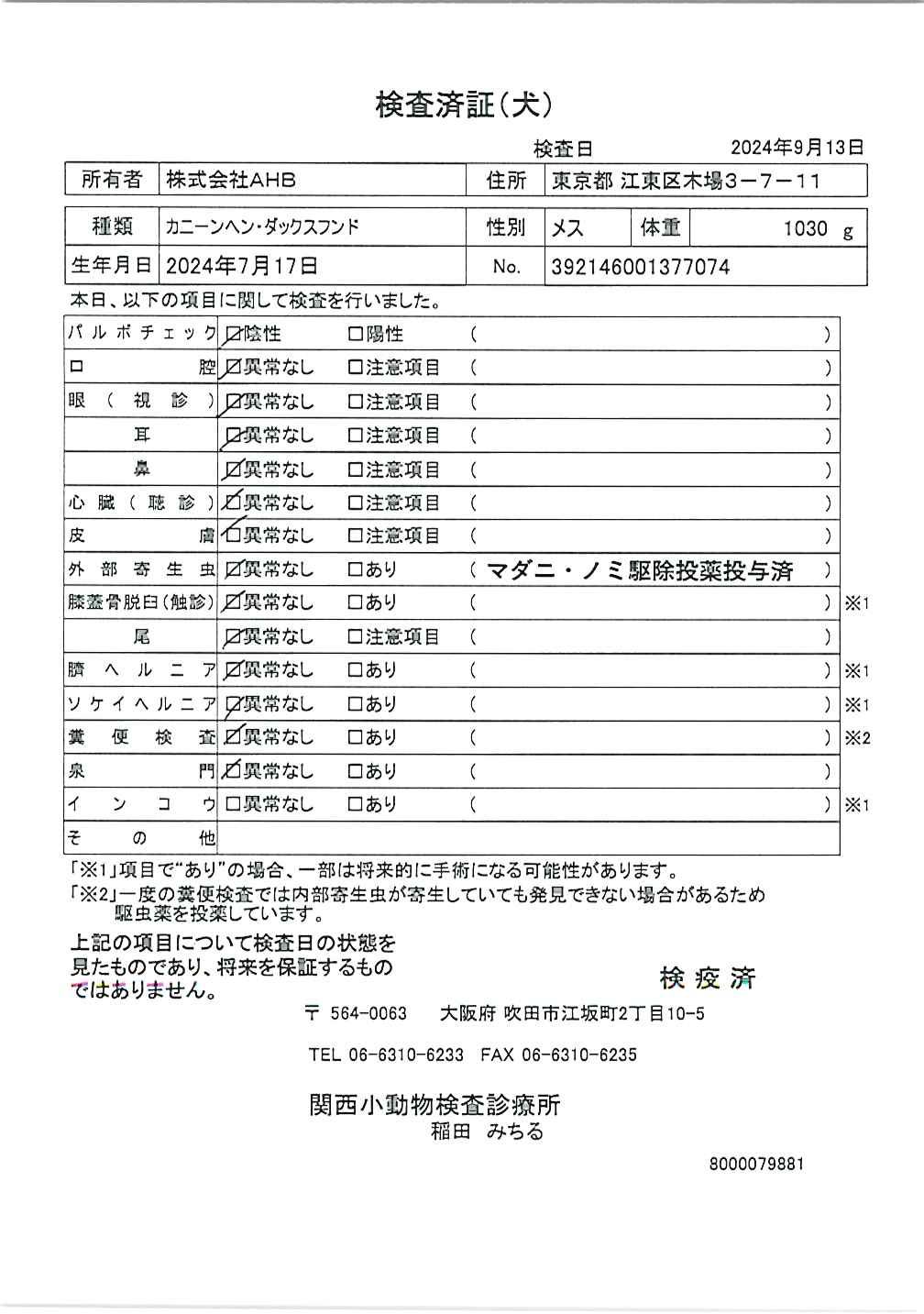 カニーンヘン・ダックスフンド