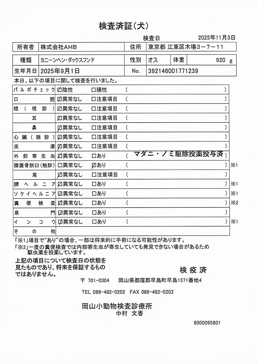 カニーンヘン・ダックスフンド