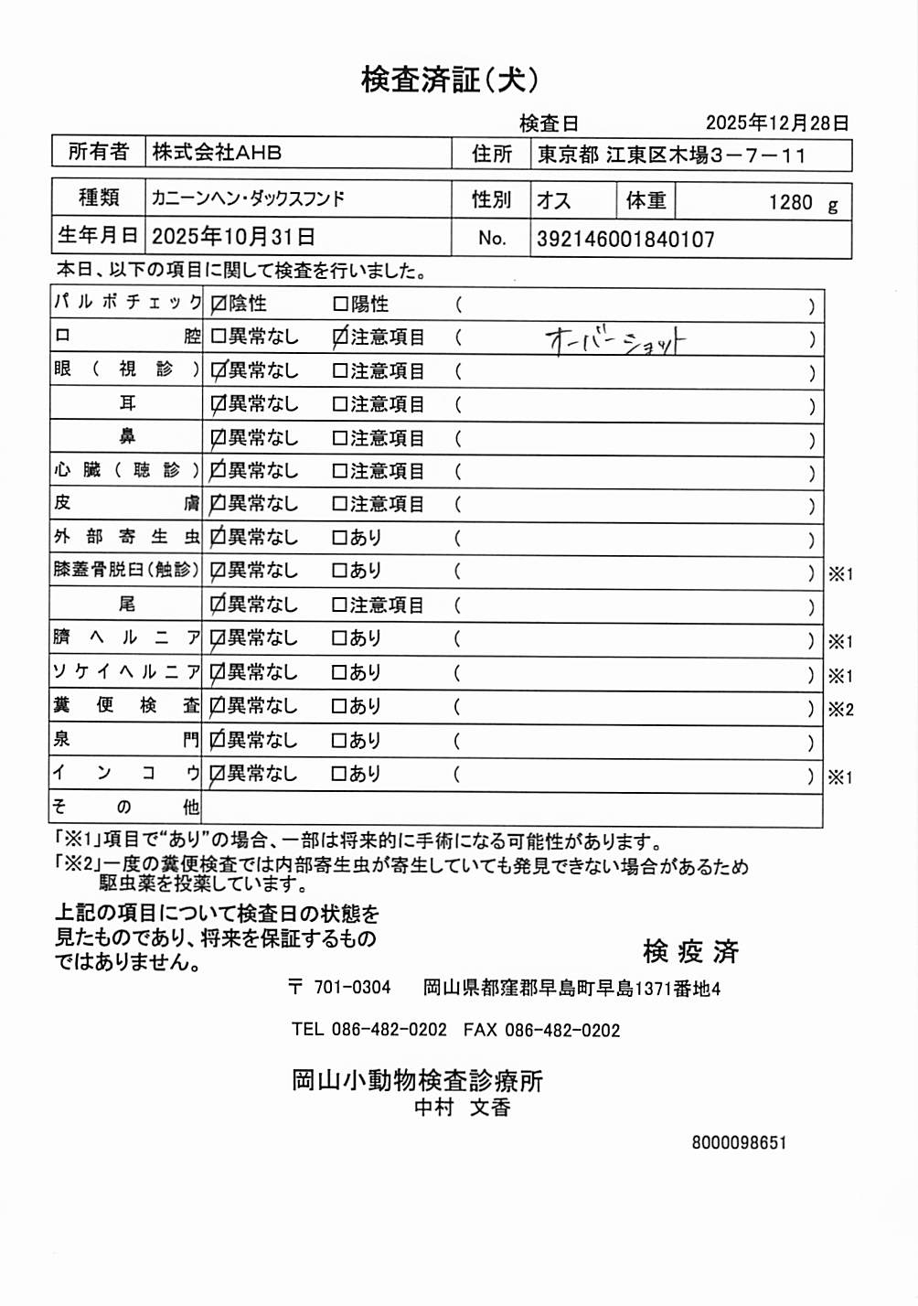カニーンヘン・ダックスフンド