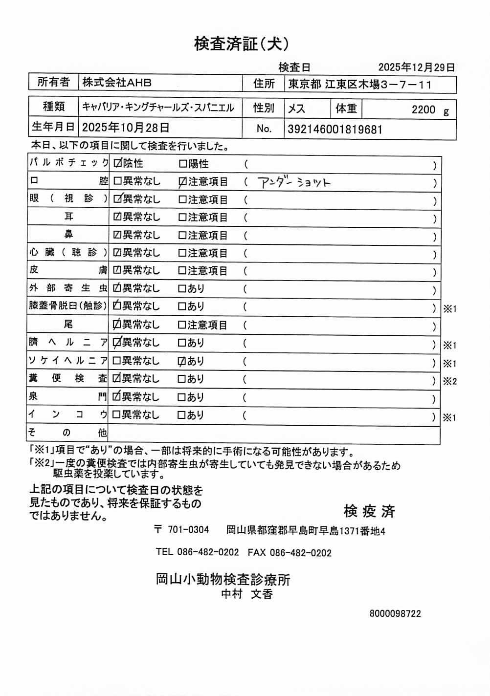 キャバリア・キングチャールズ・スパニエル