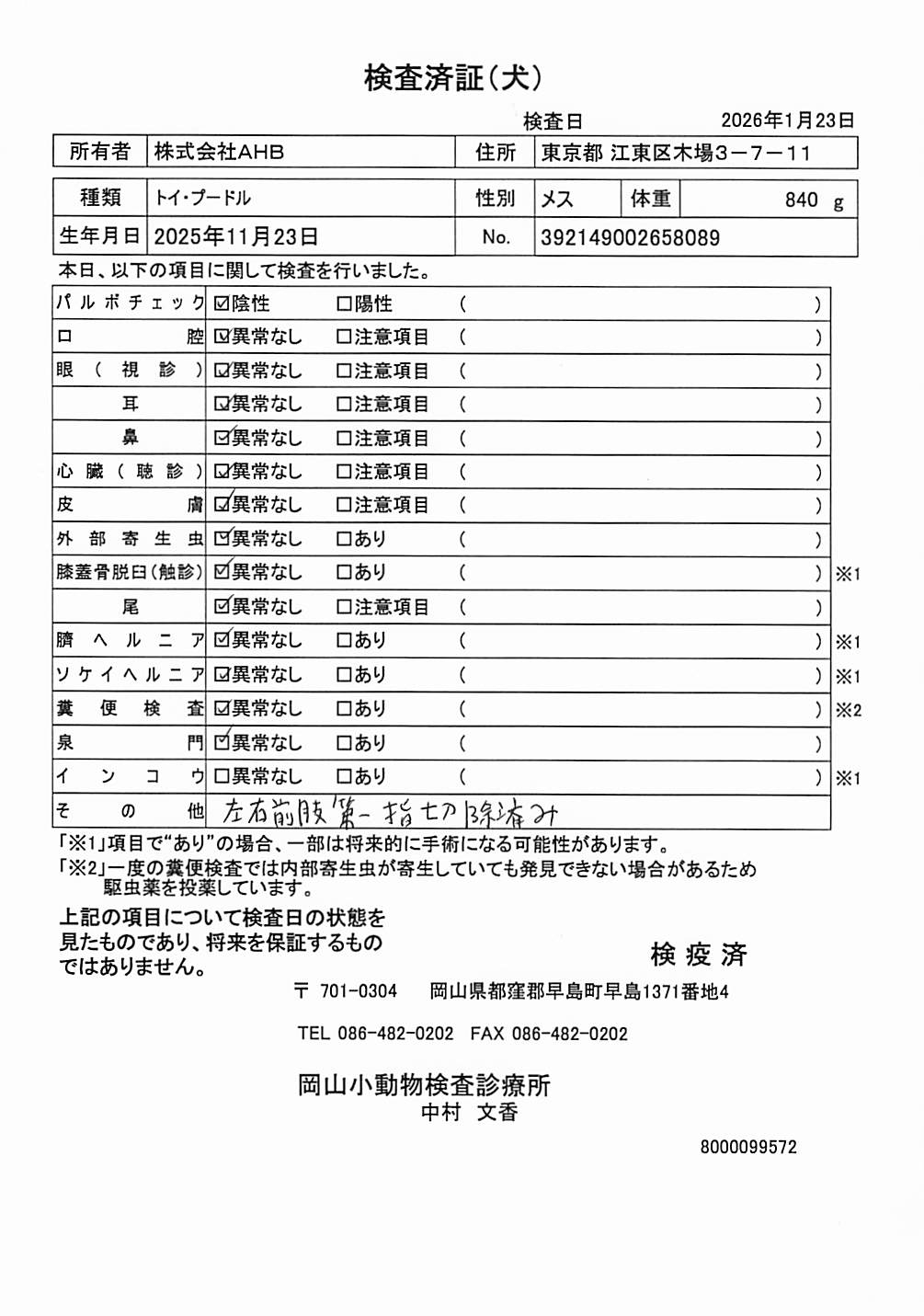 トイ・プードル