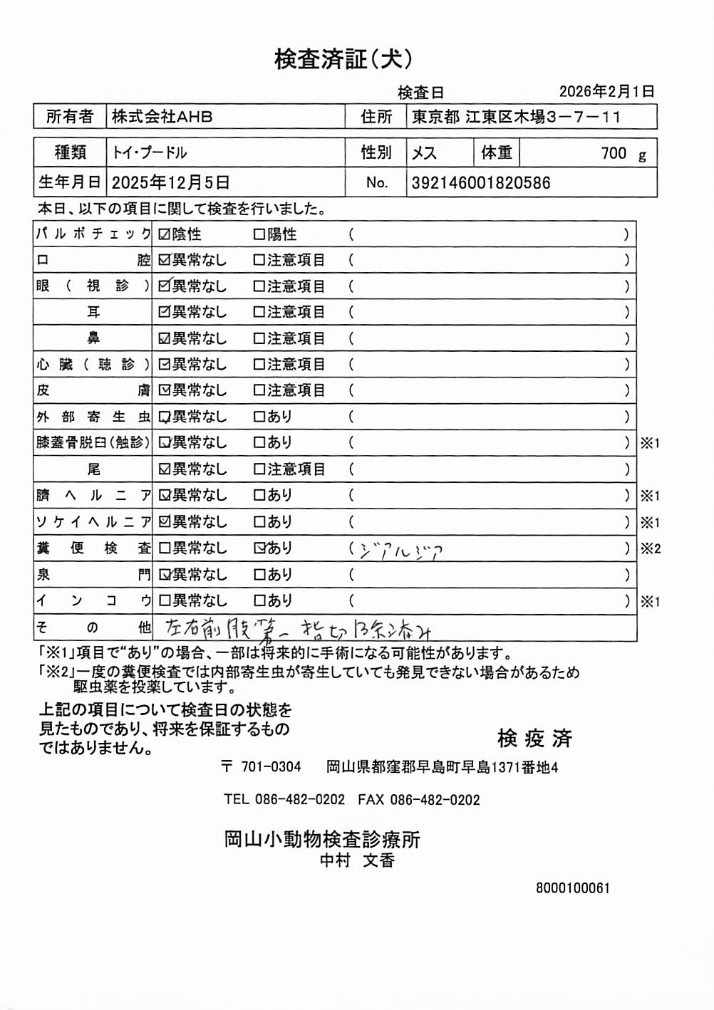 トイ・プードル