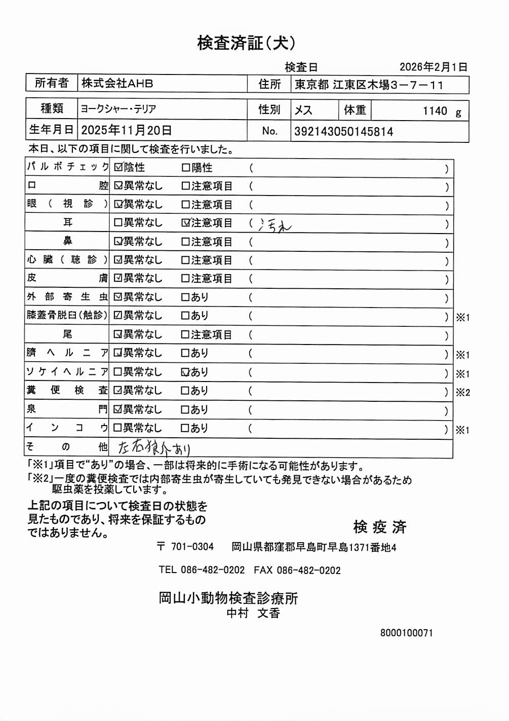 ヨークシャー・テリア