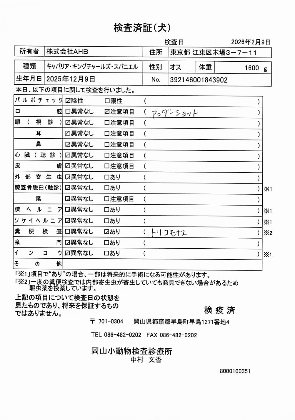 キャバリア・キングチャールズ・スパニエル