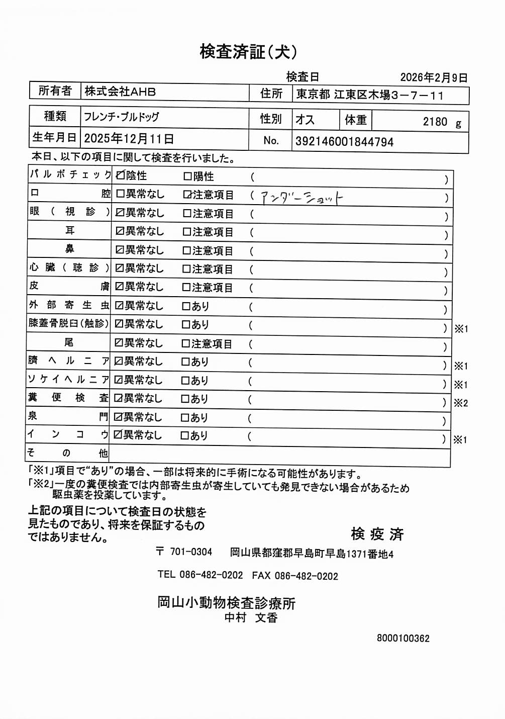 フレンチ・ブルドッグ