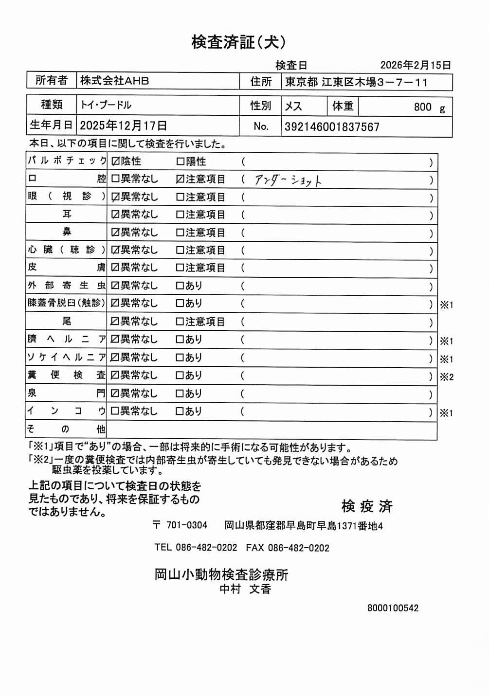 トイ・プードル