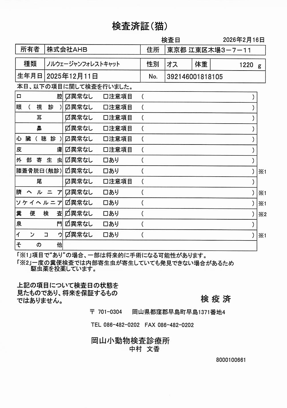 ノルウェージャンフォレストキャット