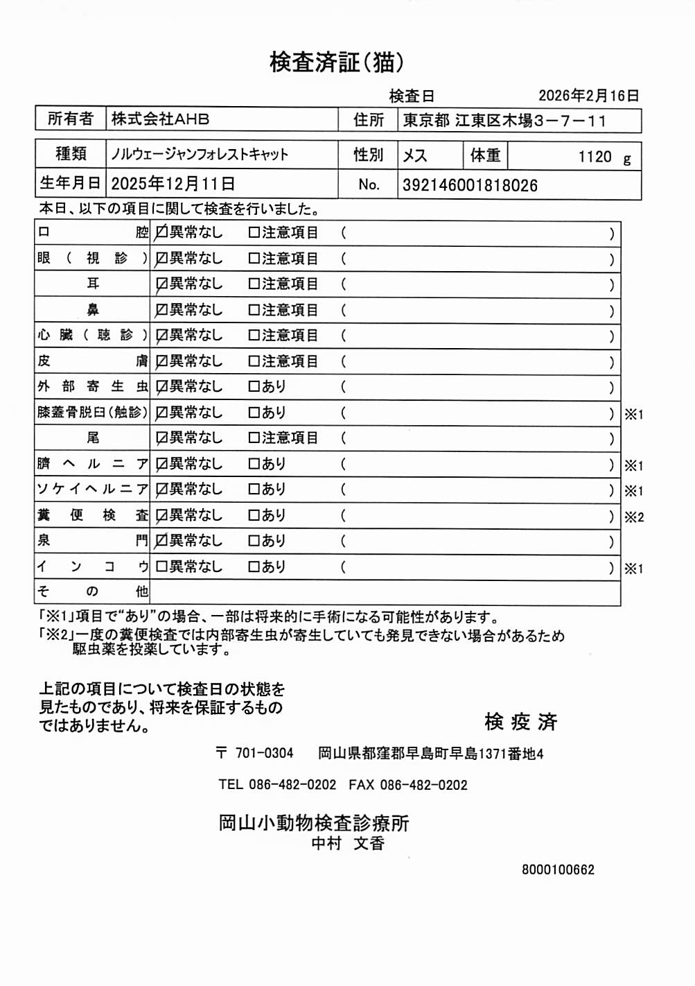 ノルウェージャンフォレストキャット