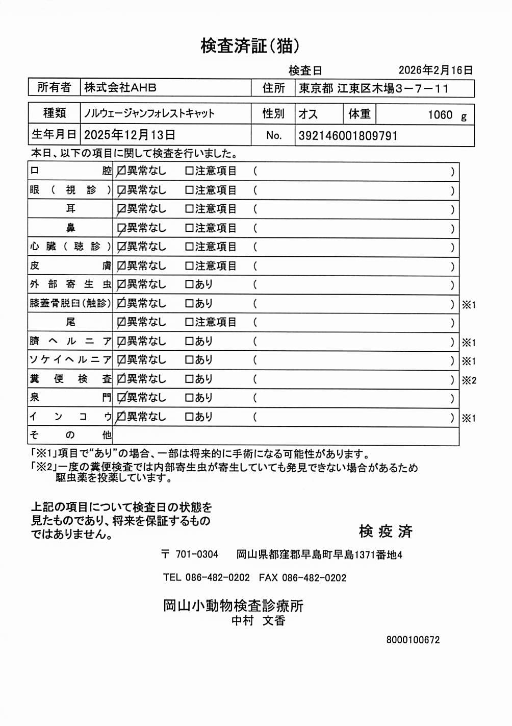 ノルウェージャンフォレストキャット
