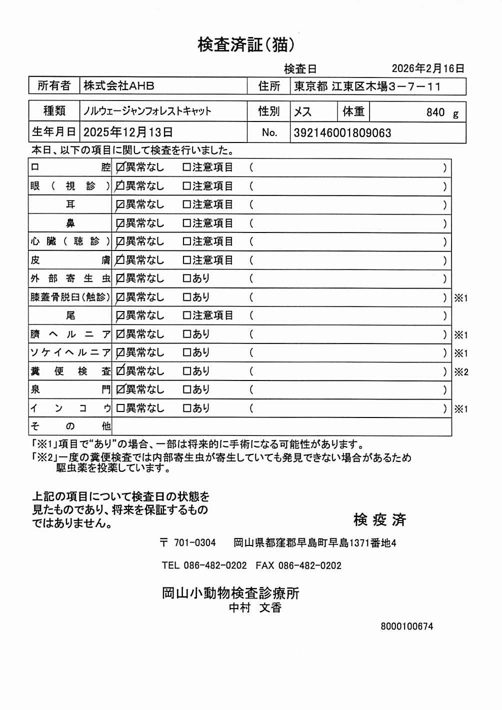 ノルウェージャンフォレストキャット