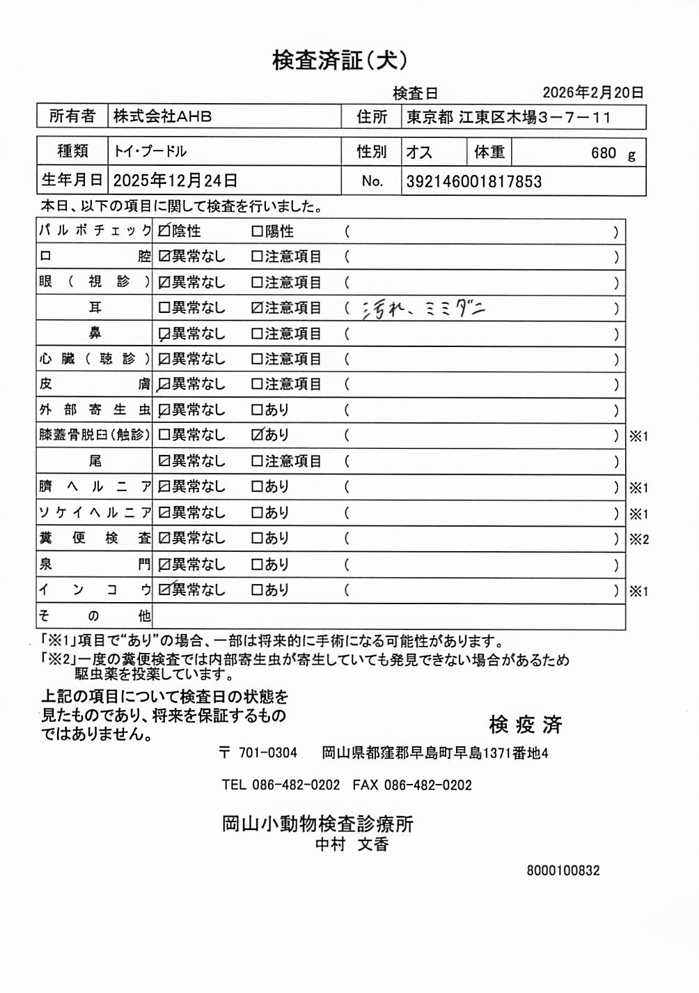 トイ・プードル