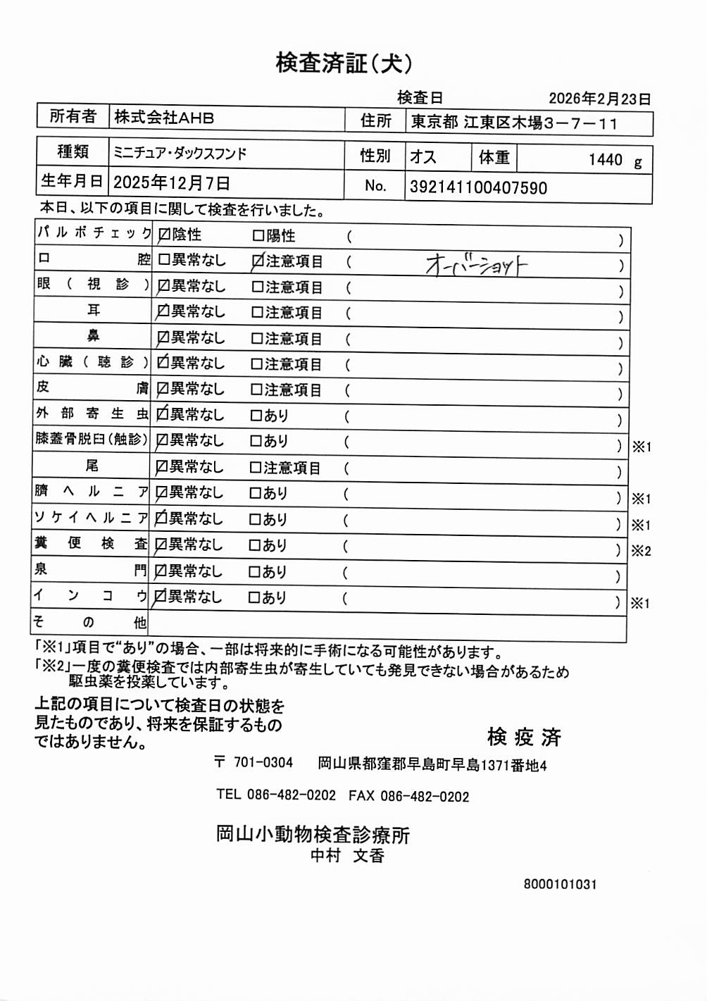 ミニチュア・ダックスフンド