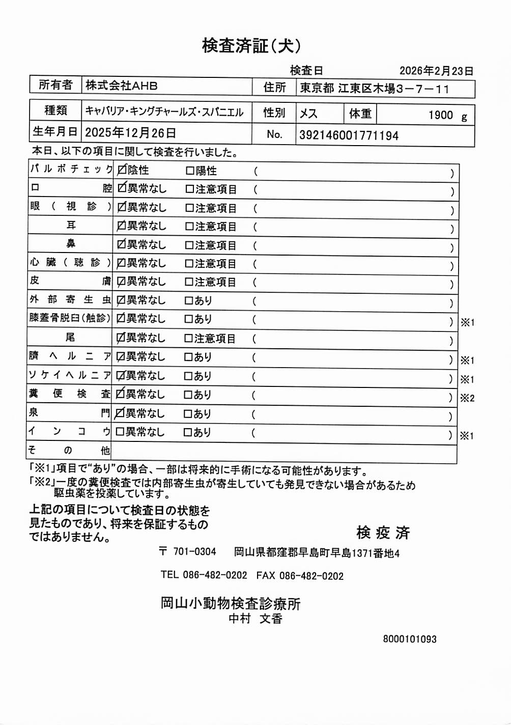 キャバリア・キングチャールズ・スパニエル