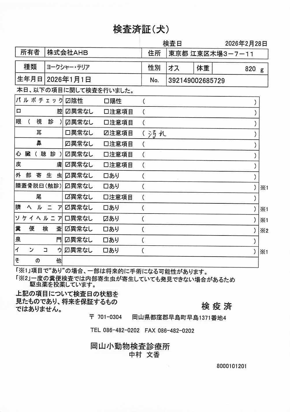 ヨークシャー・テリア
